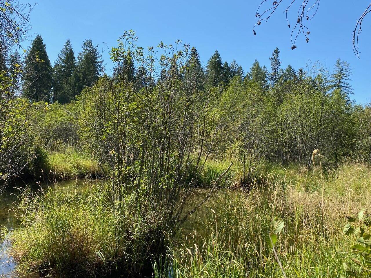 14. Land for Sale at Middle Creek Trail, Ronan, Montana 59864 United States