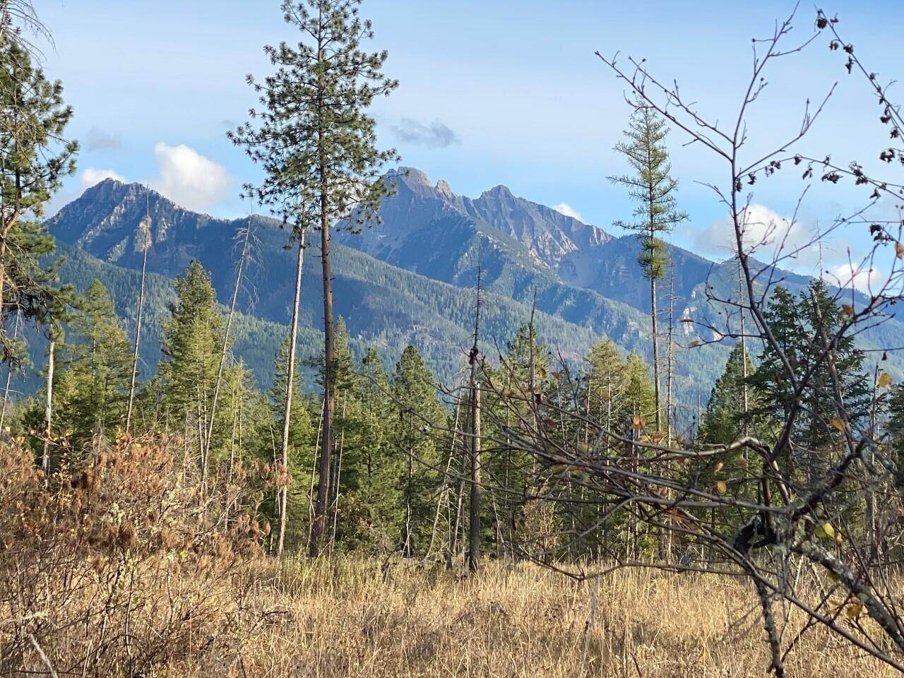 2. Land for Sale at Middle Creek Trail, Ronan, Montana 59864 United States