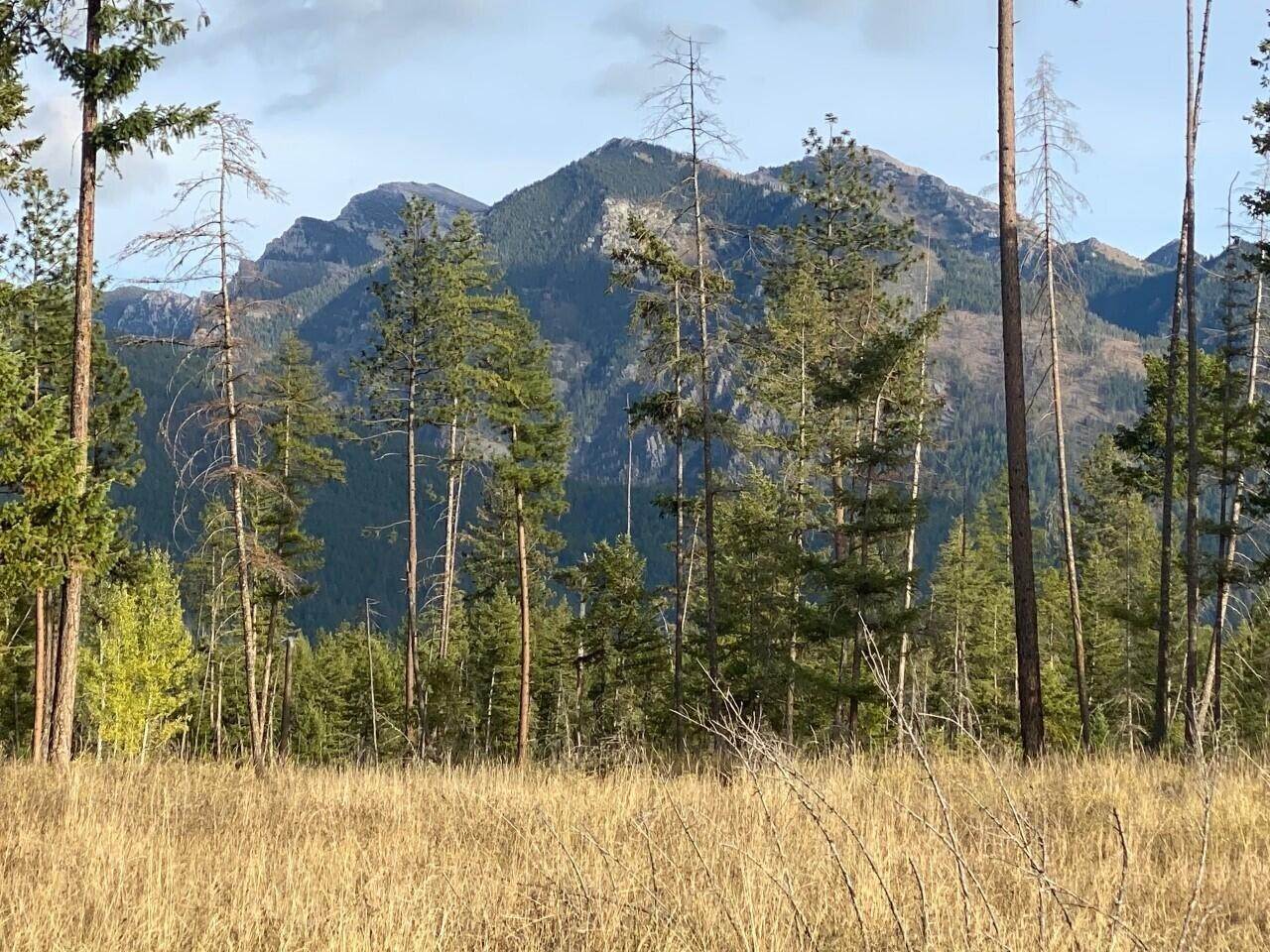 3. Land for Sale at Middle Creek Trail, Ronan, Montana 59864 United States
