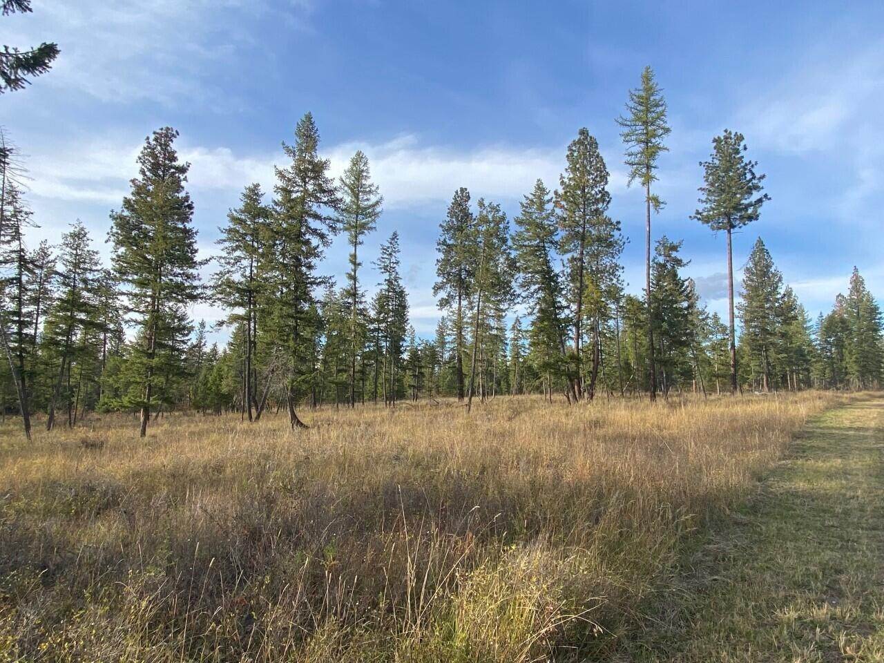8. Land for Sale at Middle Creek Trail, Ronan, Montana 59864 United States