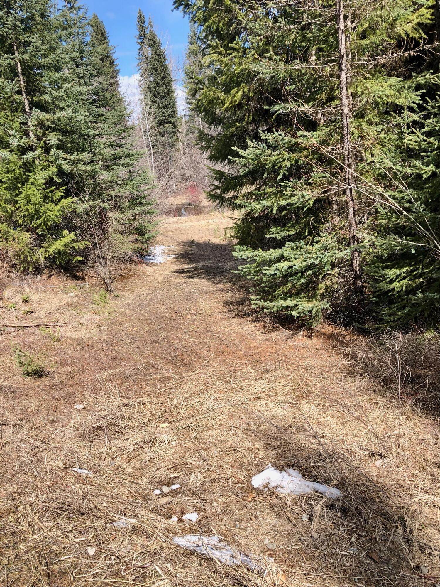 11. Land for Sale at Acm Road, Libby, Montana 59923 United States