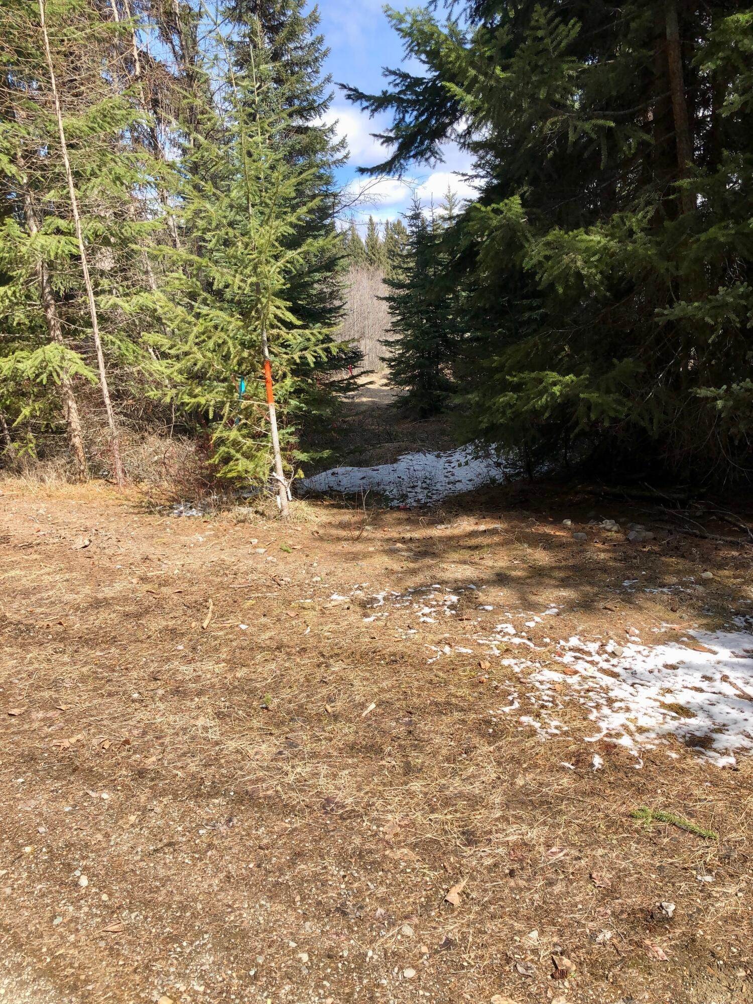 18. Land for Sale at Acm Road, Libby, Montana 59923 United States