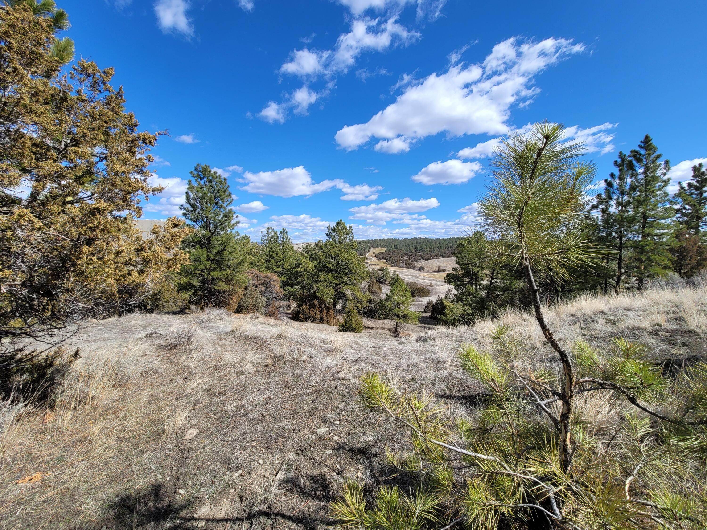 4. Land for Sale at Blue Creek Road, Billings, Montana 59101 United States
