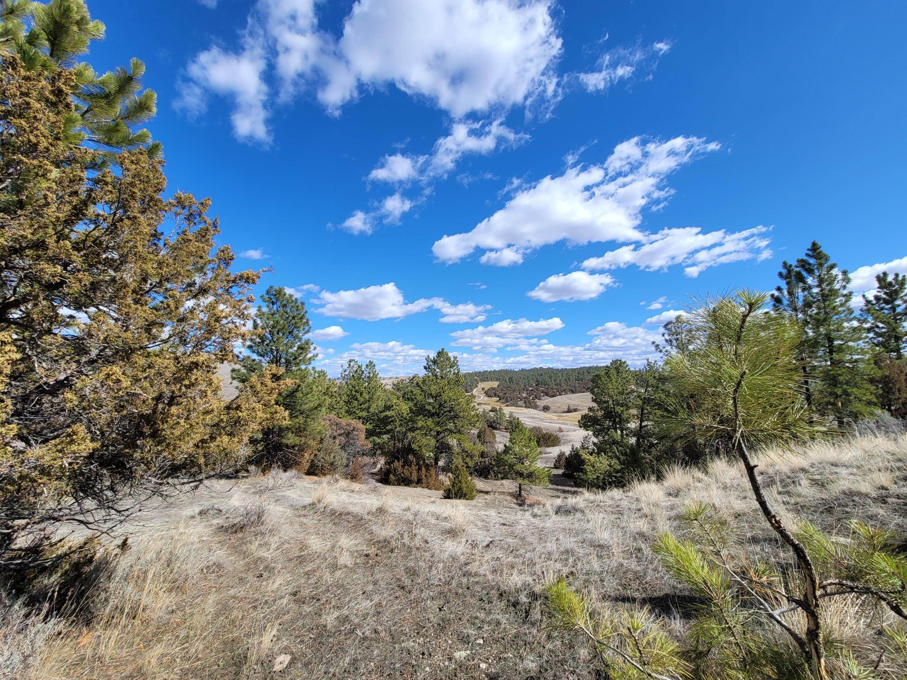 5. Land for Sale at Blue Creek Road, Billings, Montana 59101 United States