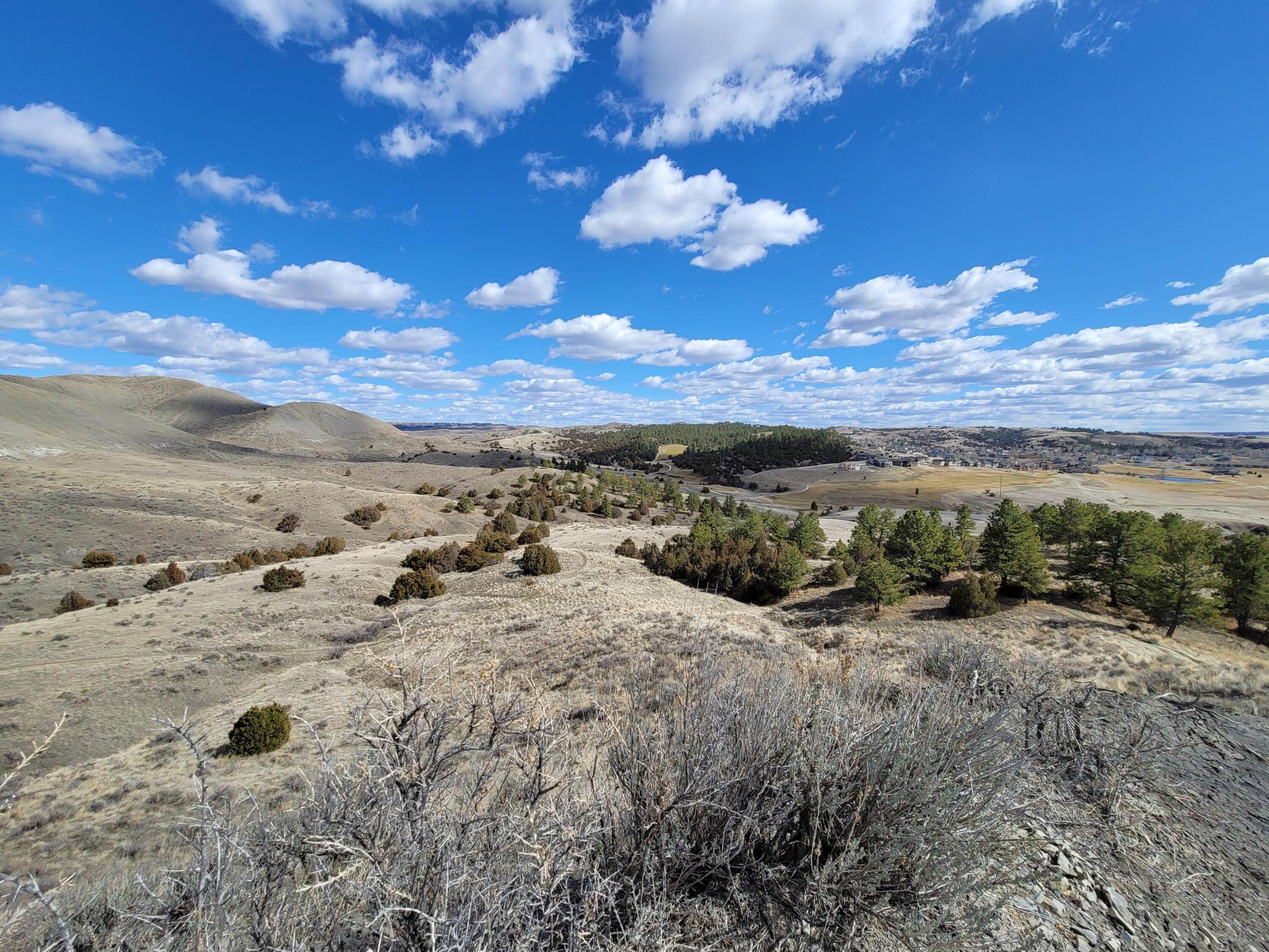 13. Land for Sale at Blue Creek Road, Billings, Montana 59101 United States
