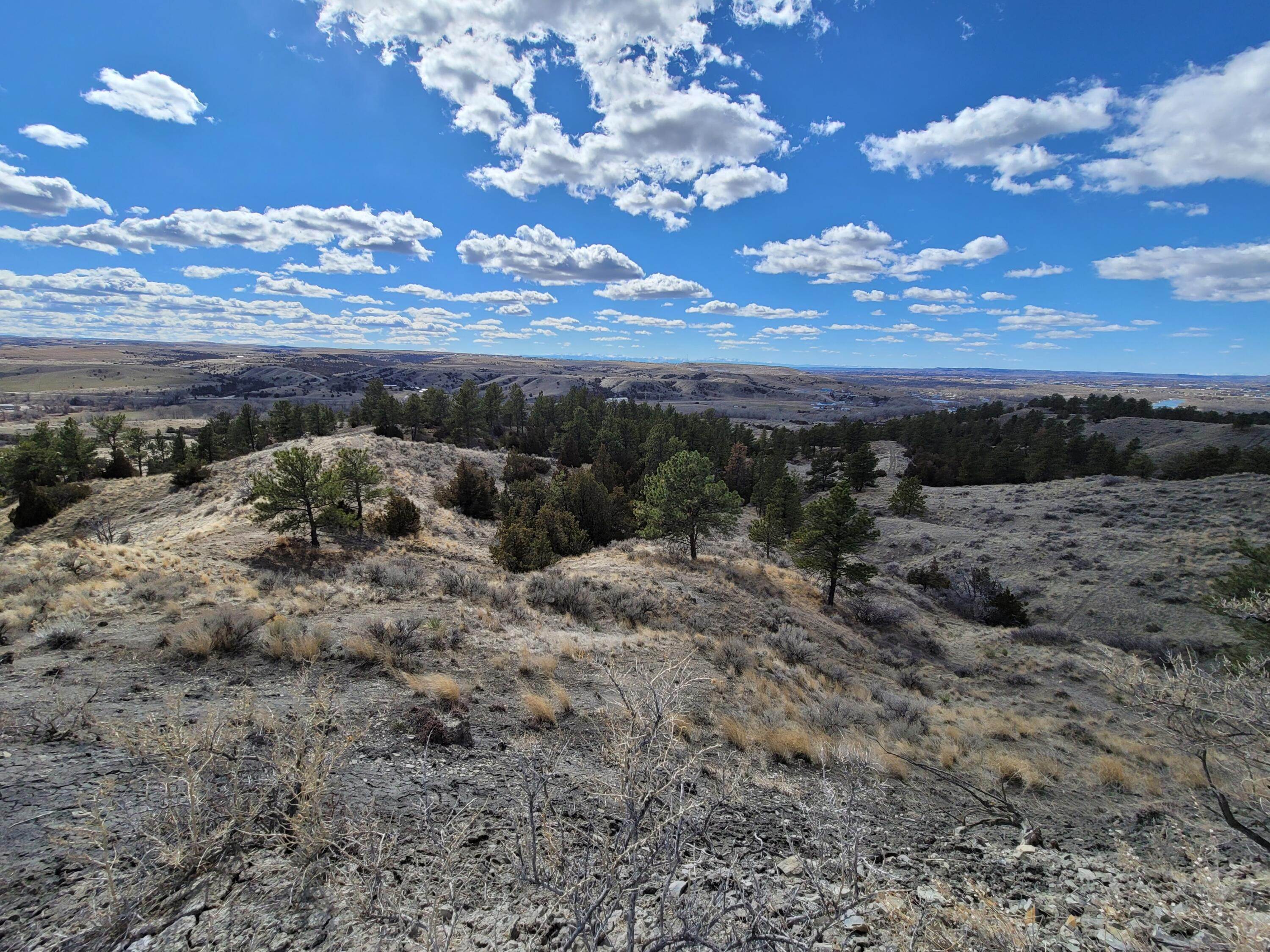 16. Land for Sale at Blue Creek Road, Billings, Montana 59101 United States