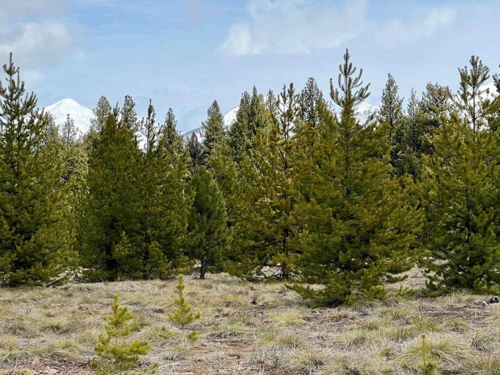 9. Land for Sale at 281 Daisy Lane, Seeley Lake, Montana 59868 United States