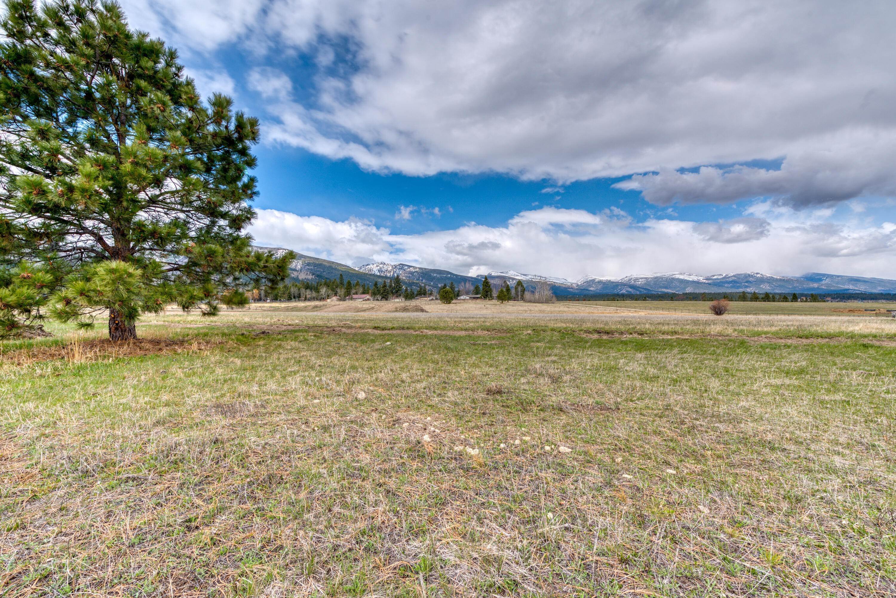 2. Land for Sale at 1110 Steller Way, Hamilton, Montana 59840 United States
