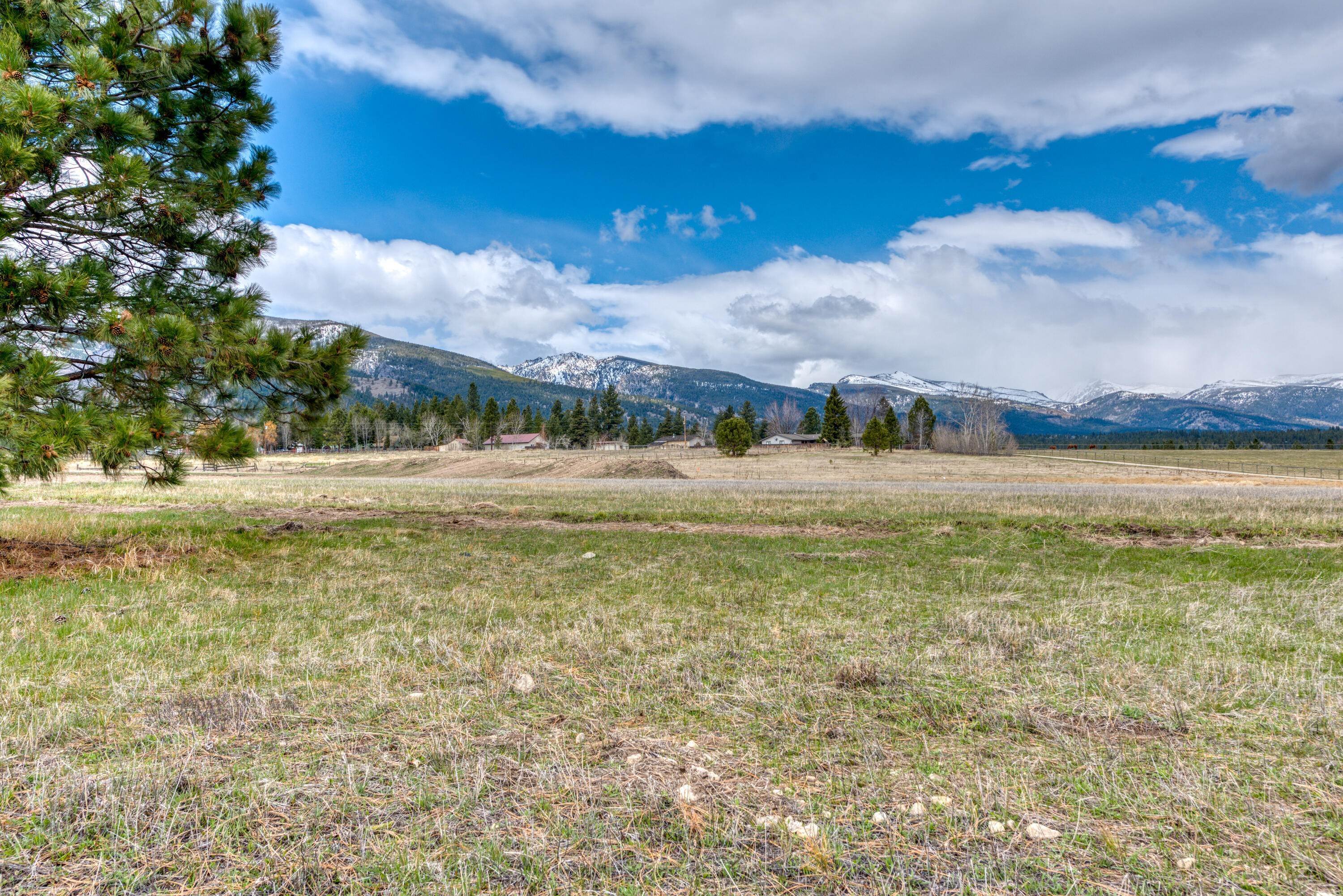 Land for Sale at 1110 Steller Way, Hamilton, Montana 59840 United States