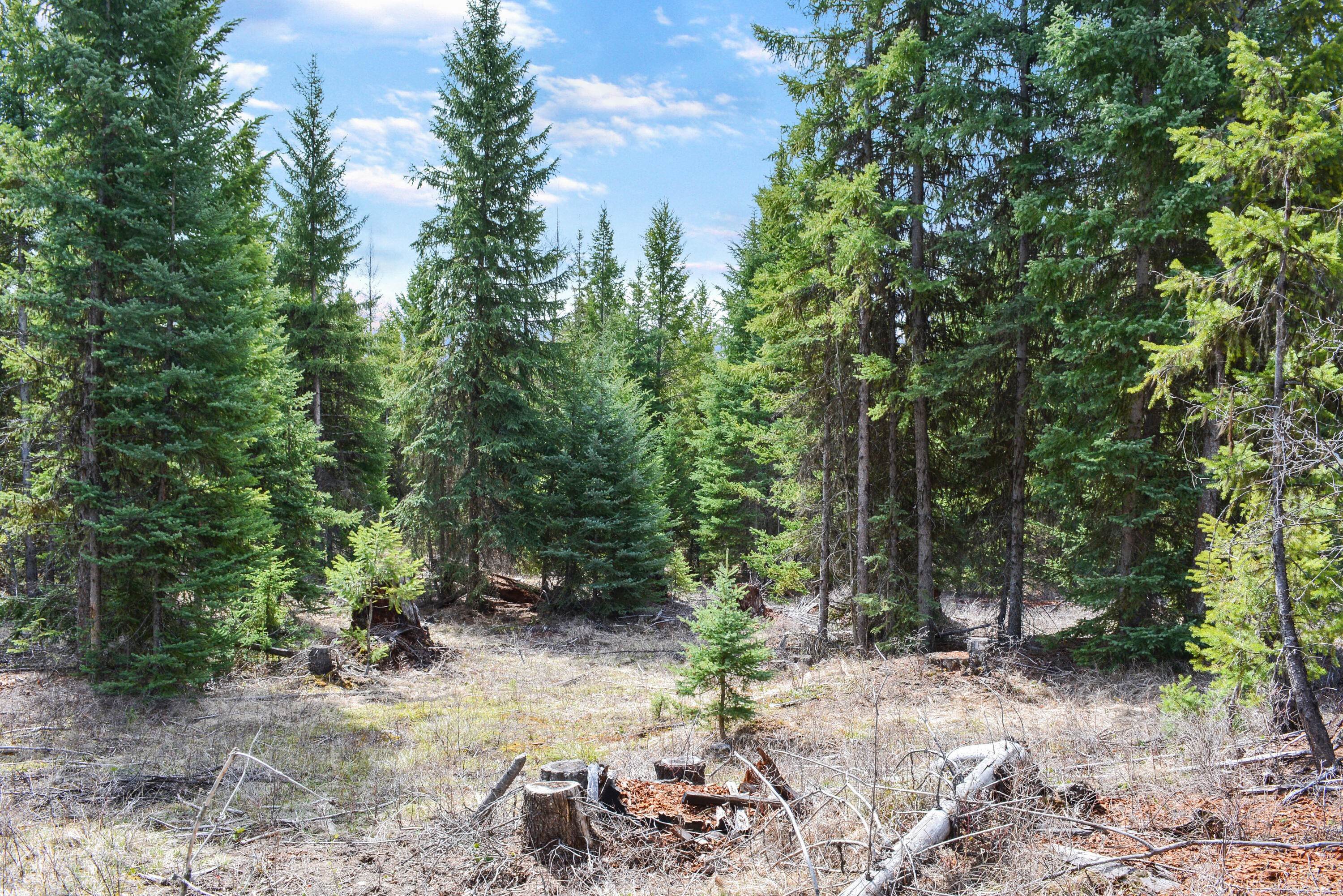 2. Land for Sale at Lot 32 Meadow Peak Subdivision, Libby, Montana 59923 United States