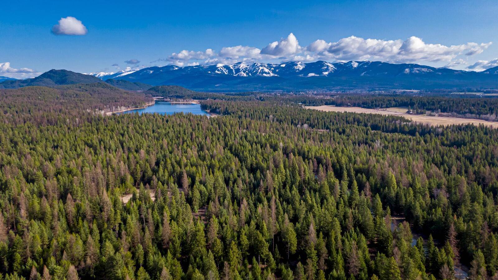 6. Land for Sale at 1480 Whitefish Hills Drive, Whitefish, Montana 59937 United States