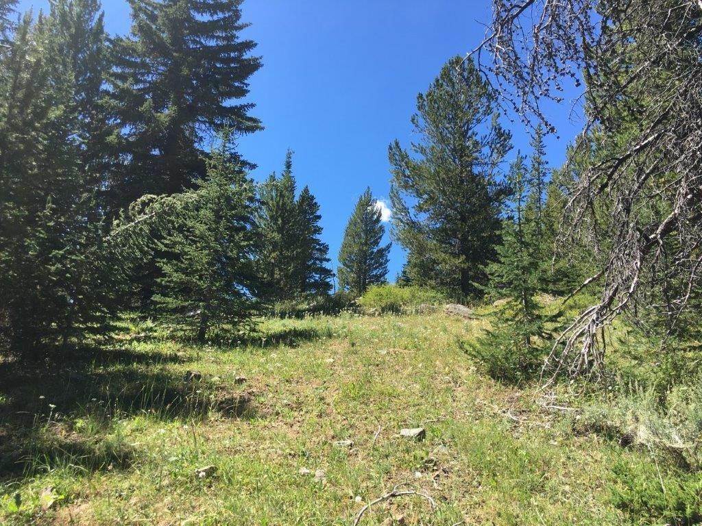 2. Land for Sale at Cleve 2 Trapper Creek Road, Melrose, Montana 59743 United States