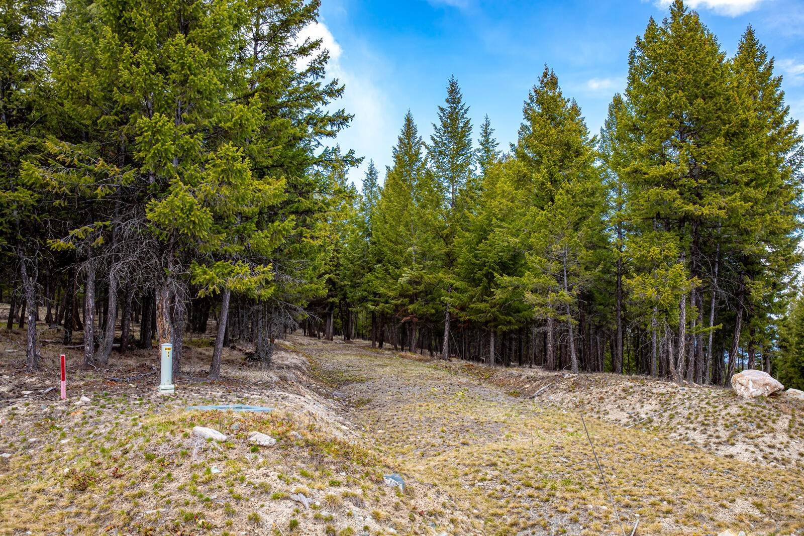 15. Land for Sale at Terning Drive, Fortine, Montana 59918 United States