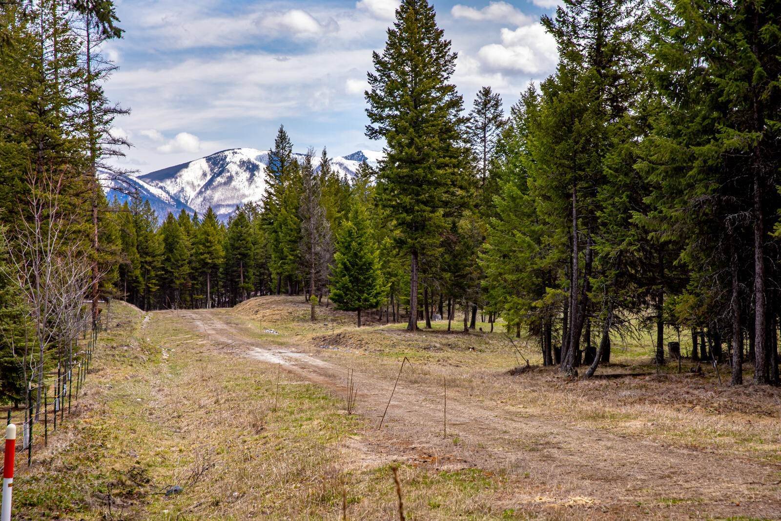 18. Land for Sale at Terning Drive, Fortine, Montana 59918 United States