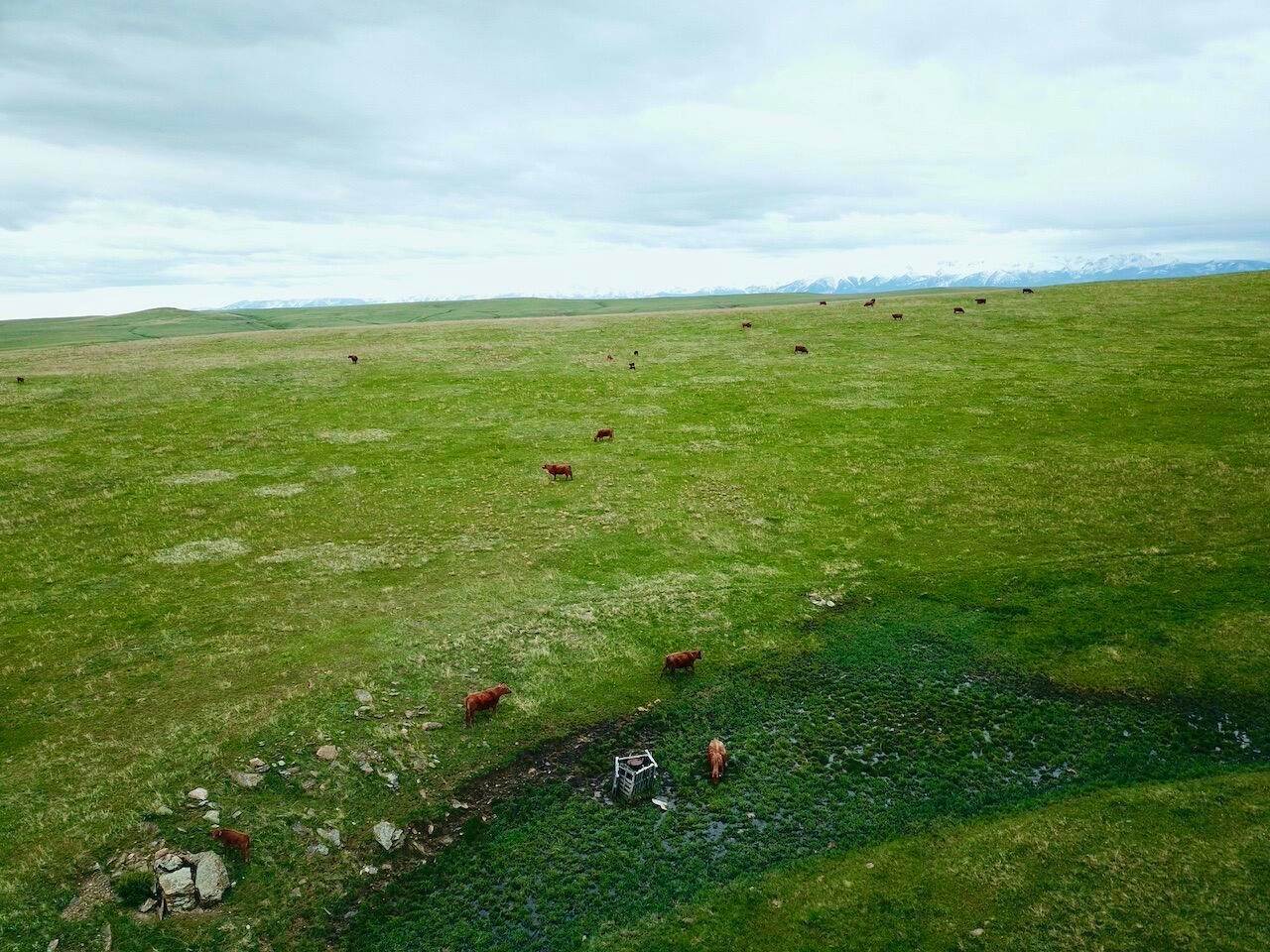 5. Land for Sale at Cow Face Hill Road, Reed Point, Montana 59069 United States