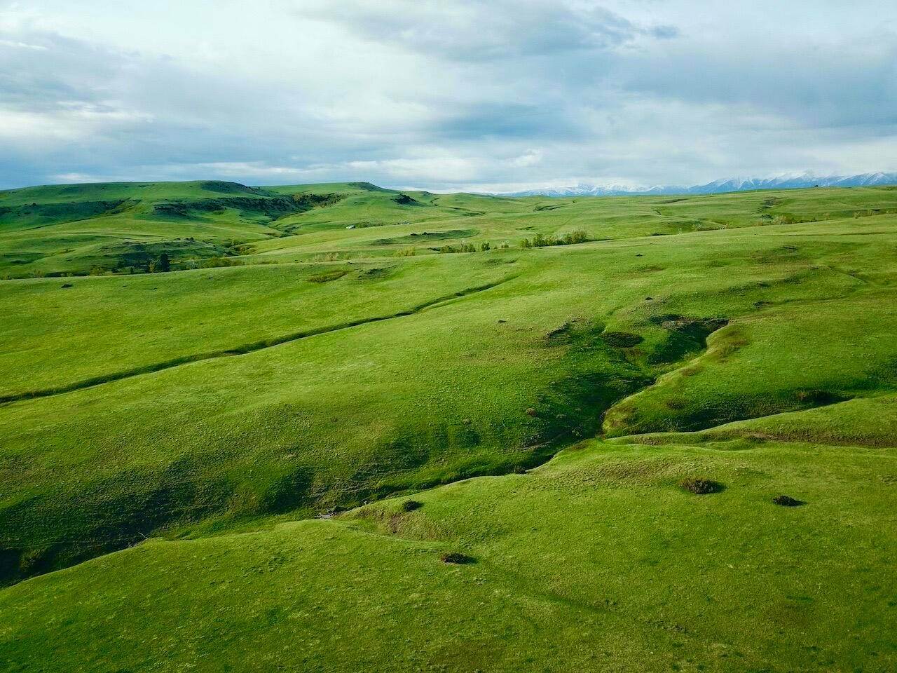 17. Land for Sale at Cow Face Hill Road, Reed Point, Montana 59069 United States