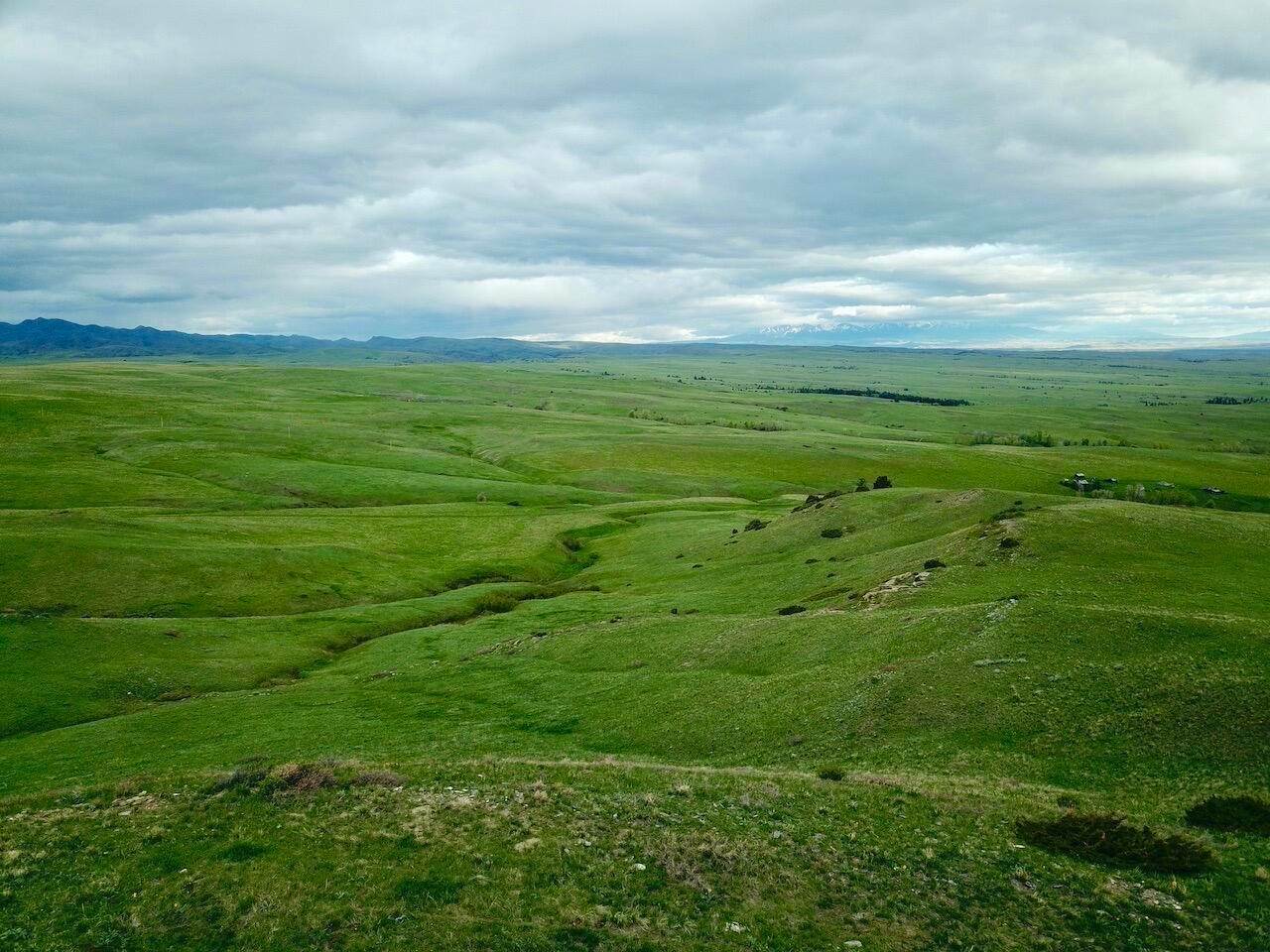 19. Land for Sale at Cow Face Hill Road, Reed Point, Montana 59069 United States