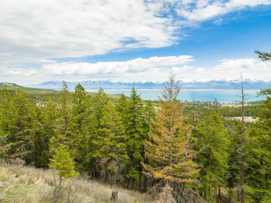 10. Land for Sale at Blacktail Heights Road, Lakeside, Montana 59922 United States