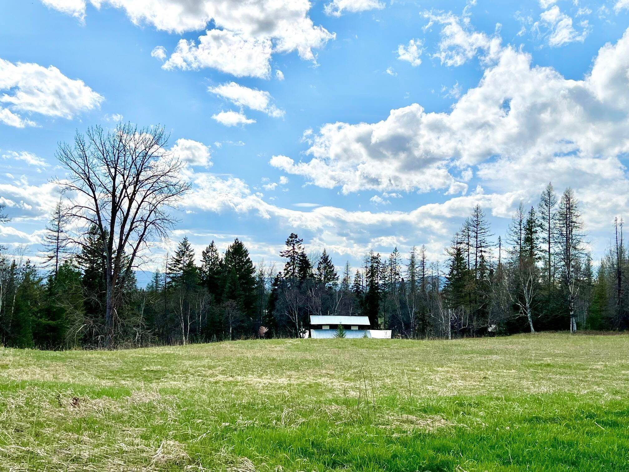 8. Single Family Homes for Sale at 2500 East Edgewood Drive, Whitefish, Montana 59937 United States