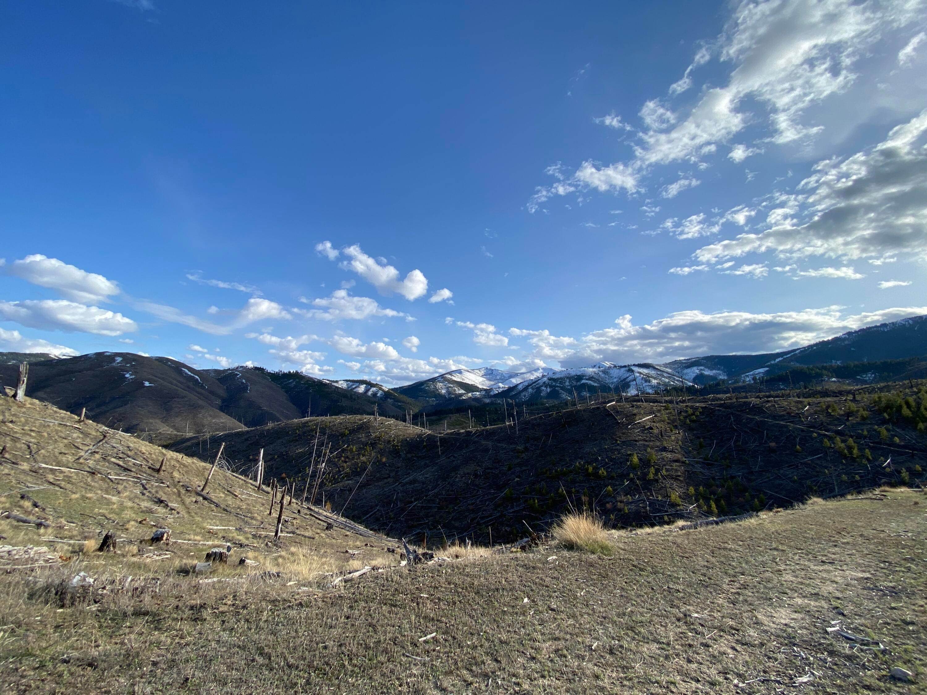 5. Land for Sale at Hwy 93, Conner, Montana 59827 United States