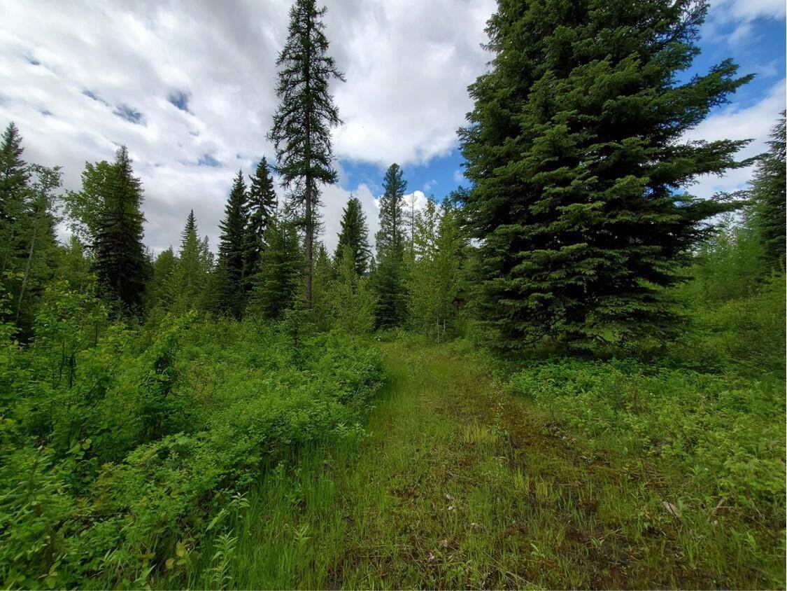4. Land for Sale at Trail Creek Road, Polebridge, Montana 59928 United States