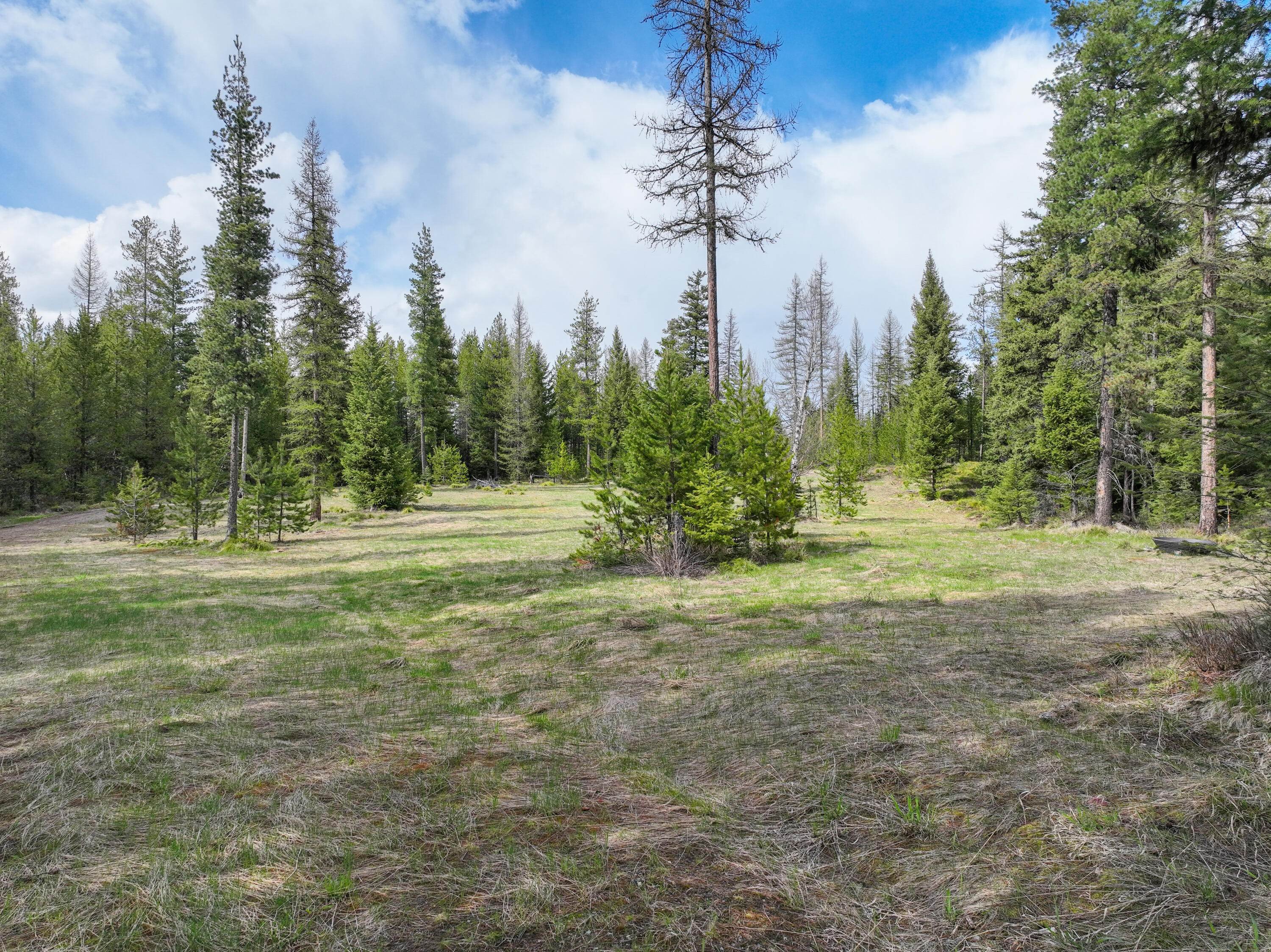 6. Land for Sale at 187 Glacier Hills Drive, Martin City, Montana 59926 United States