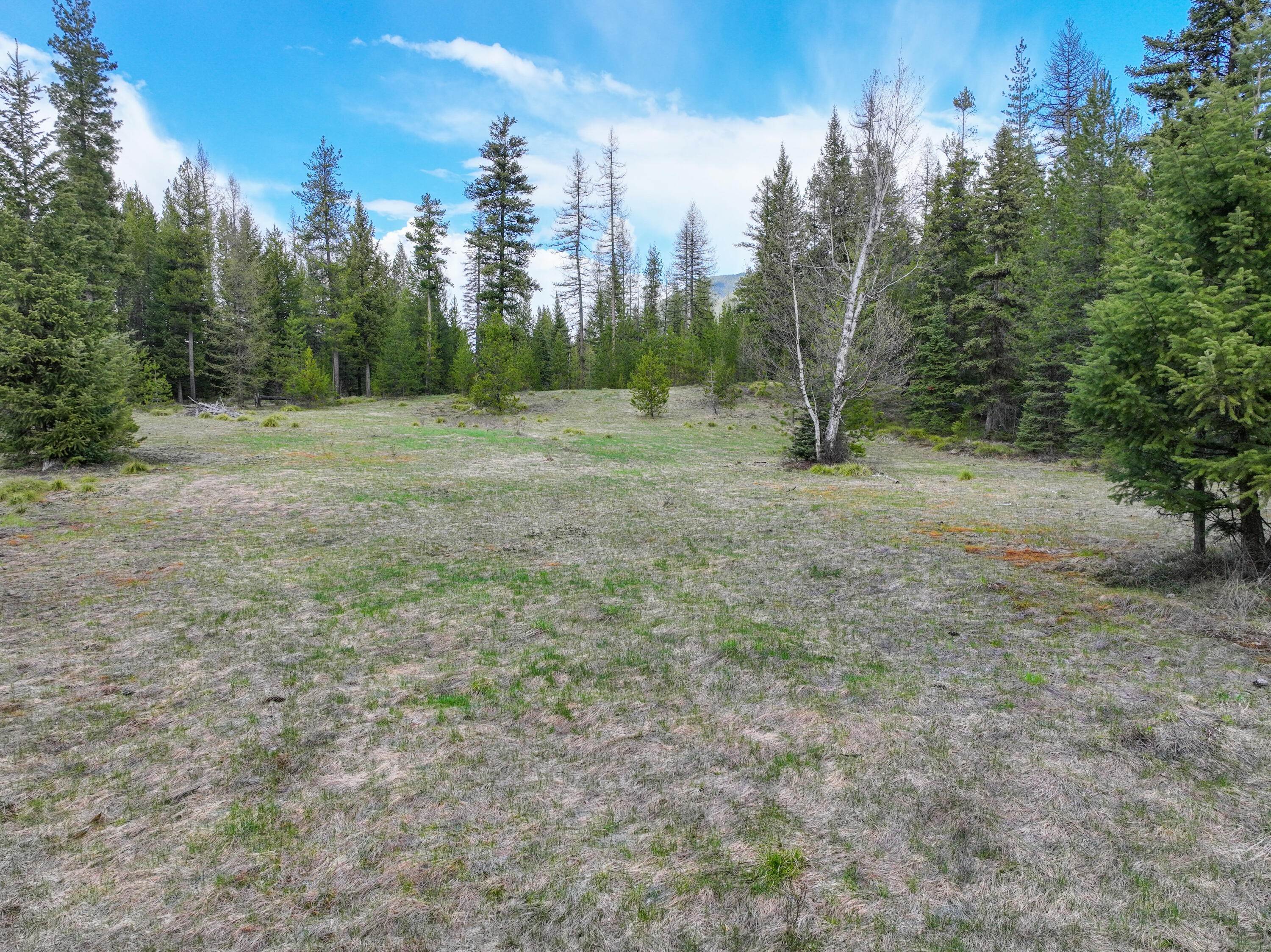 9. Land for Sale at 187 Glacier Hills Drive, Martin City, Montana 59926 United States
