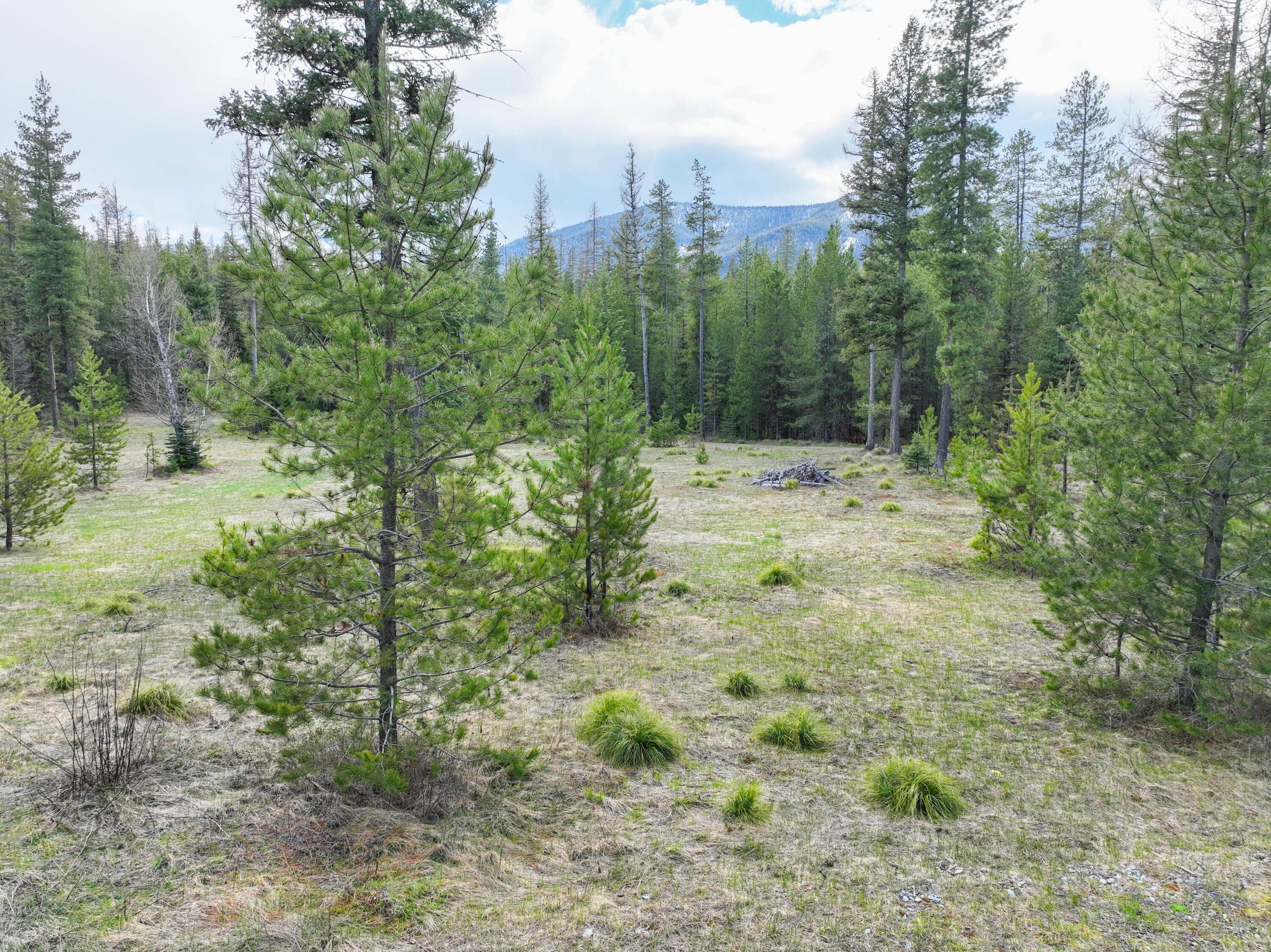 12. Land for Sale at 187 Glacier Hills Drive, Martin City, Montana 59926 United States