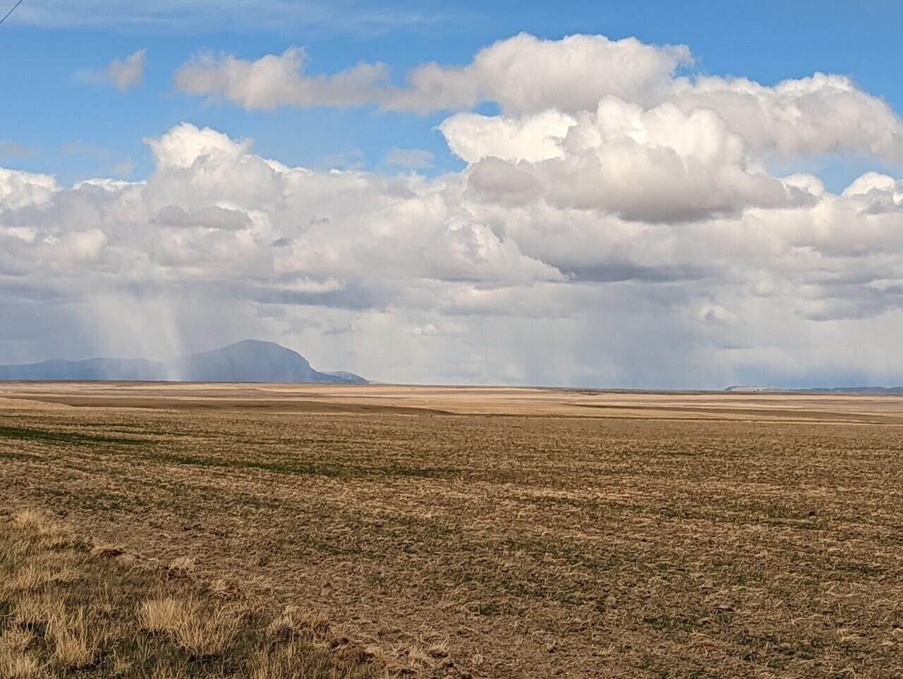 3. Farm / Agriculture for Sale at Nhn North Dunkirk Road, Shelby, Montana 59474 United States