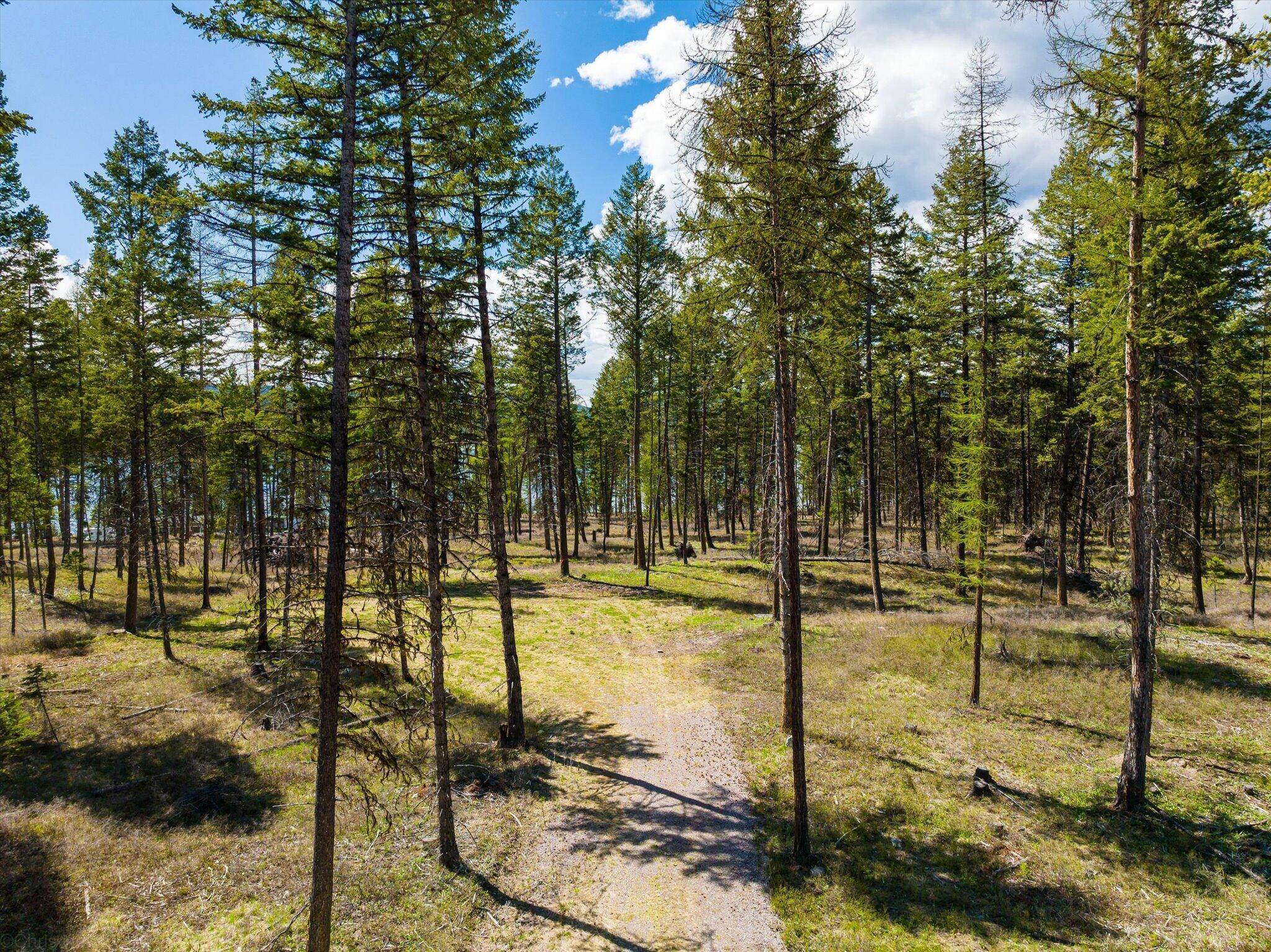 3. Land for Sale at Camp Tuffit Road, Proctor, Montana 59929 United States