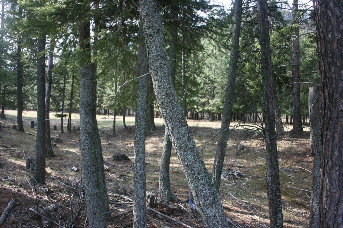 6. Land for Sale at Tract 1-E River Road, Plains, Montana 59859 United States