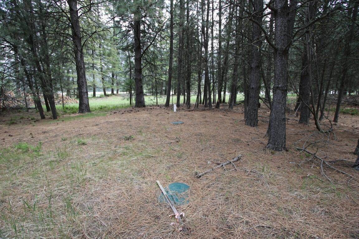 16. Land for Sale at Tract 1-E River Road, Plains, Montana 59859 United States