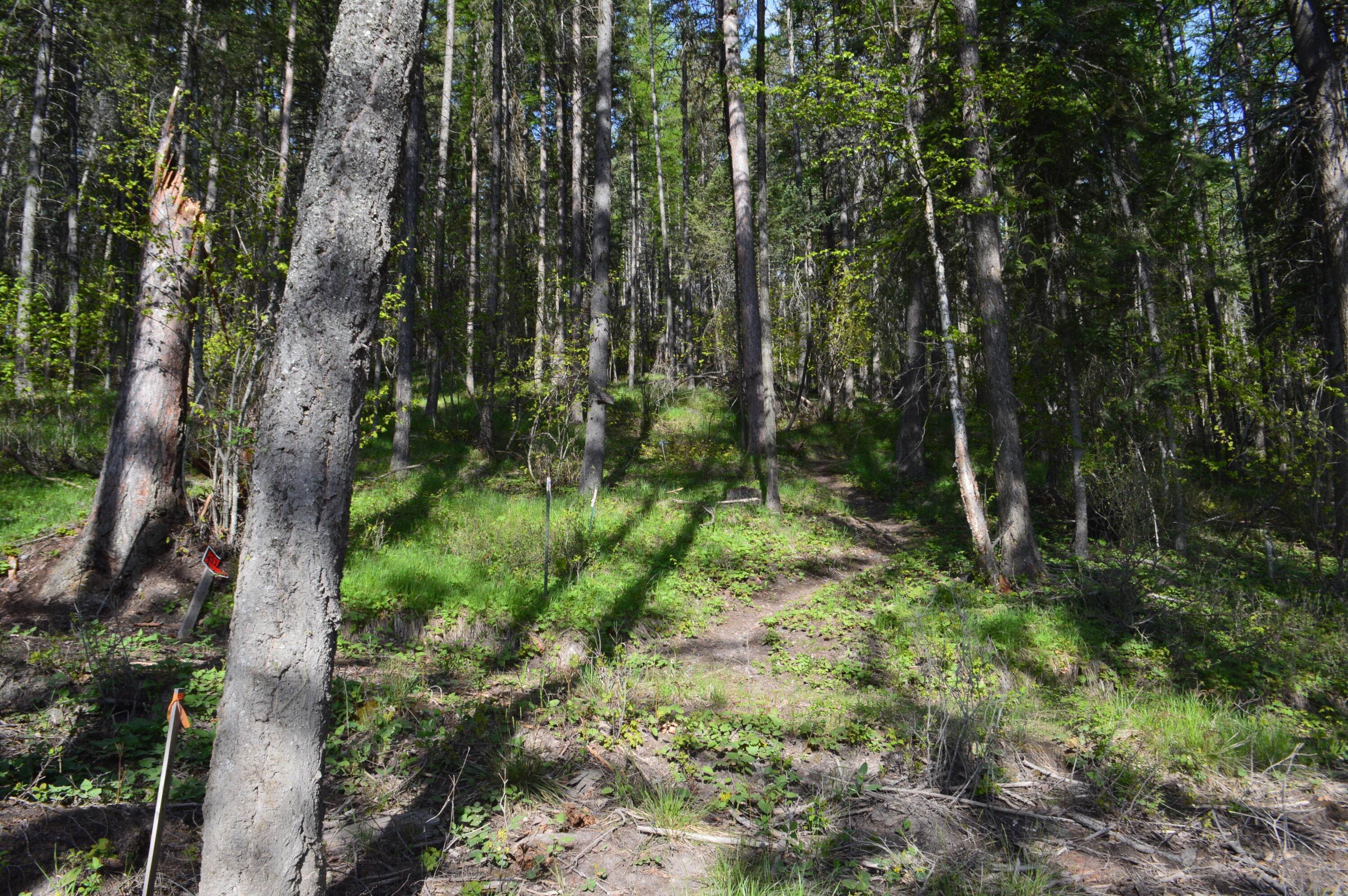 17. Land for Sale at 630 Leksand Trail, Whitefish, Montana 59937 United States