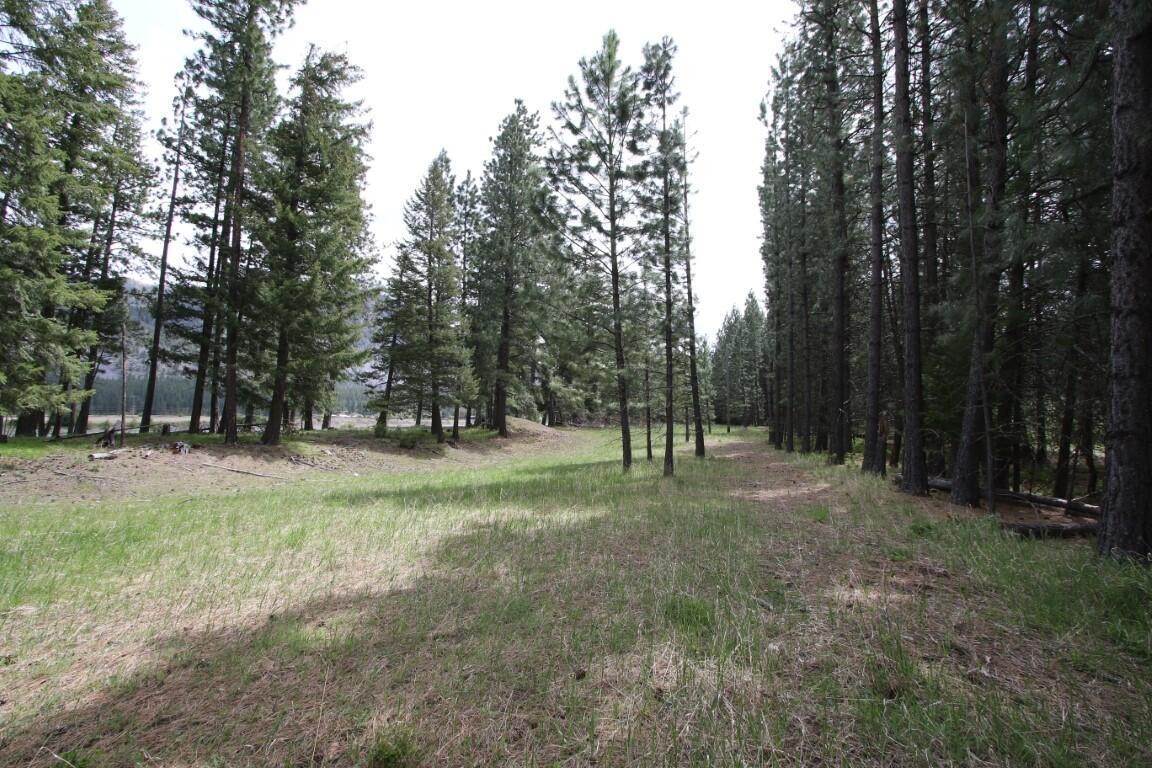 18. Land for Sale at Tract 1-D River Road, Plains, Montana 59859 United States