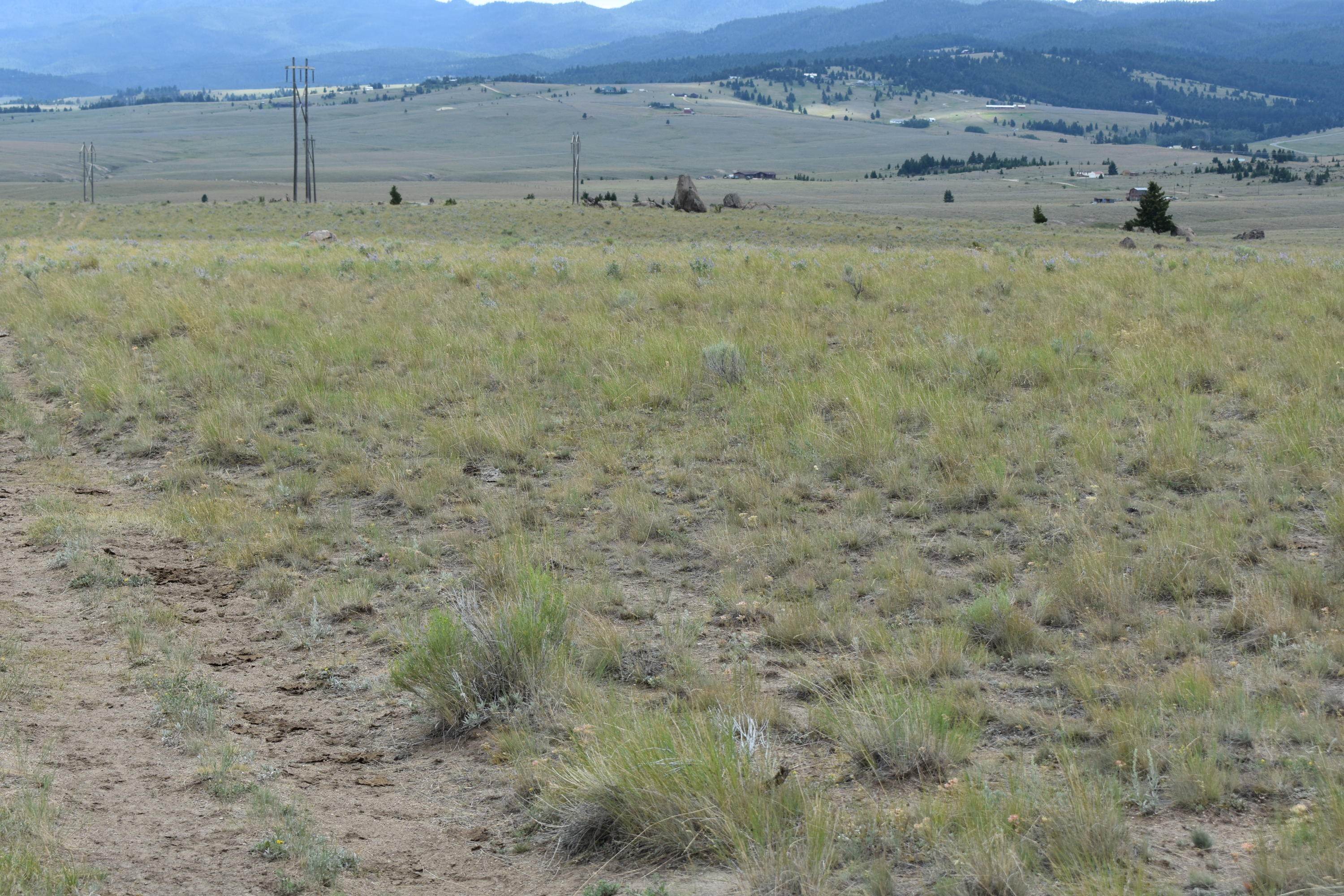 4. Land for Sale at Little Basin Creek Road, Butte, Montana 59701 United States