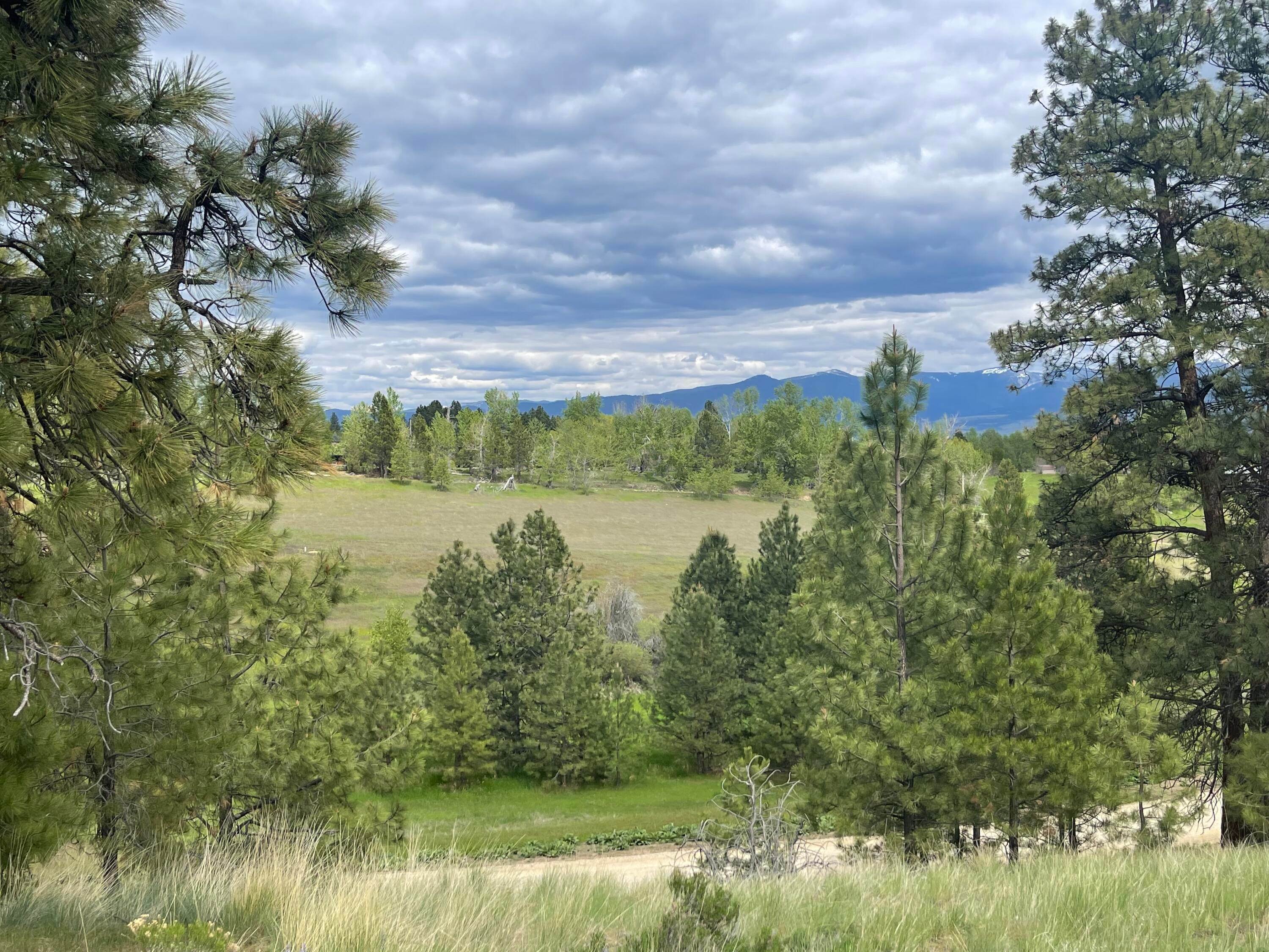 6. Land for Sale at Great Wolf, Hamilton, Montana 59840 United States
