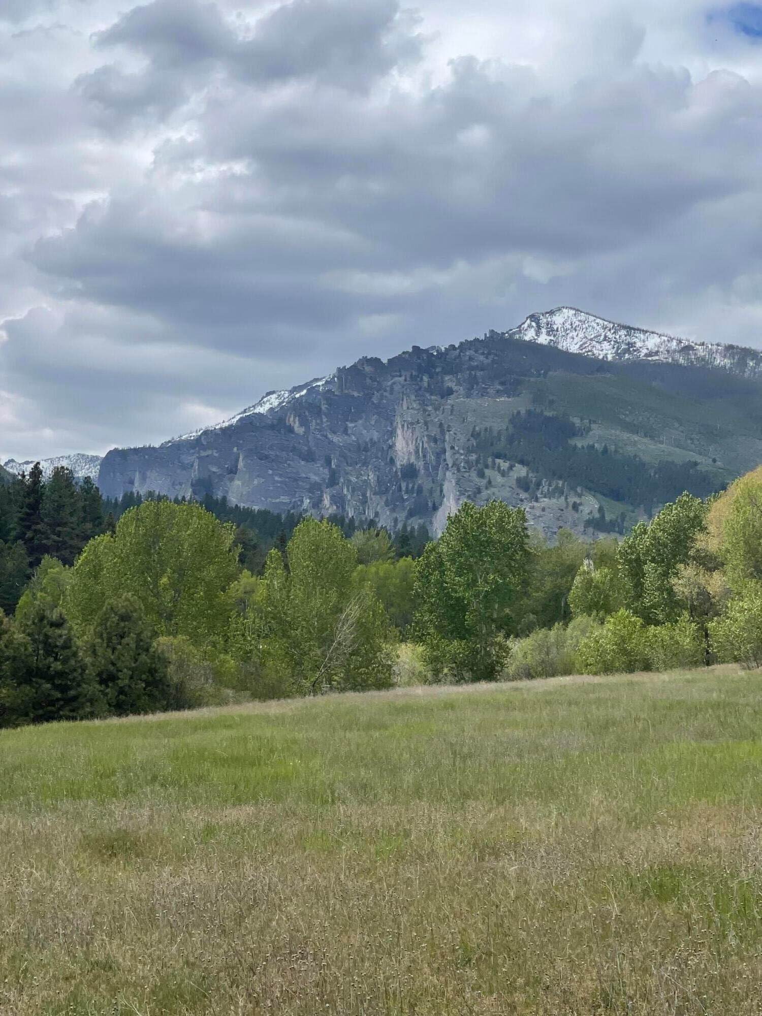 Land for Sale at Great Wolf, Hamilton, Montana 59840 United States