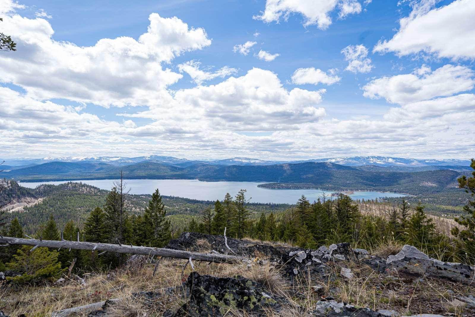 10. Land for Sale at Griffin Creek Road, Marion, Montana 59925 United States