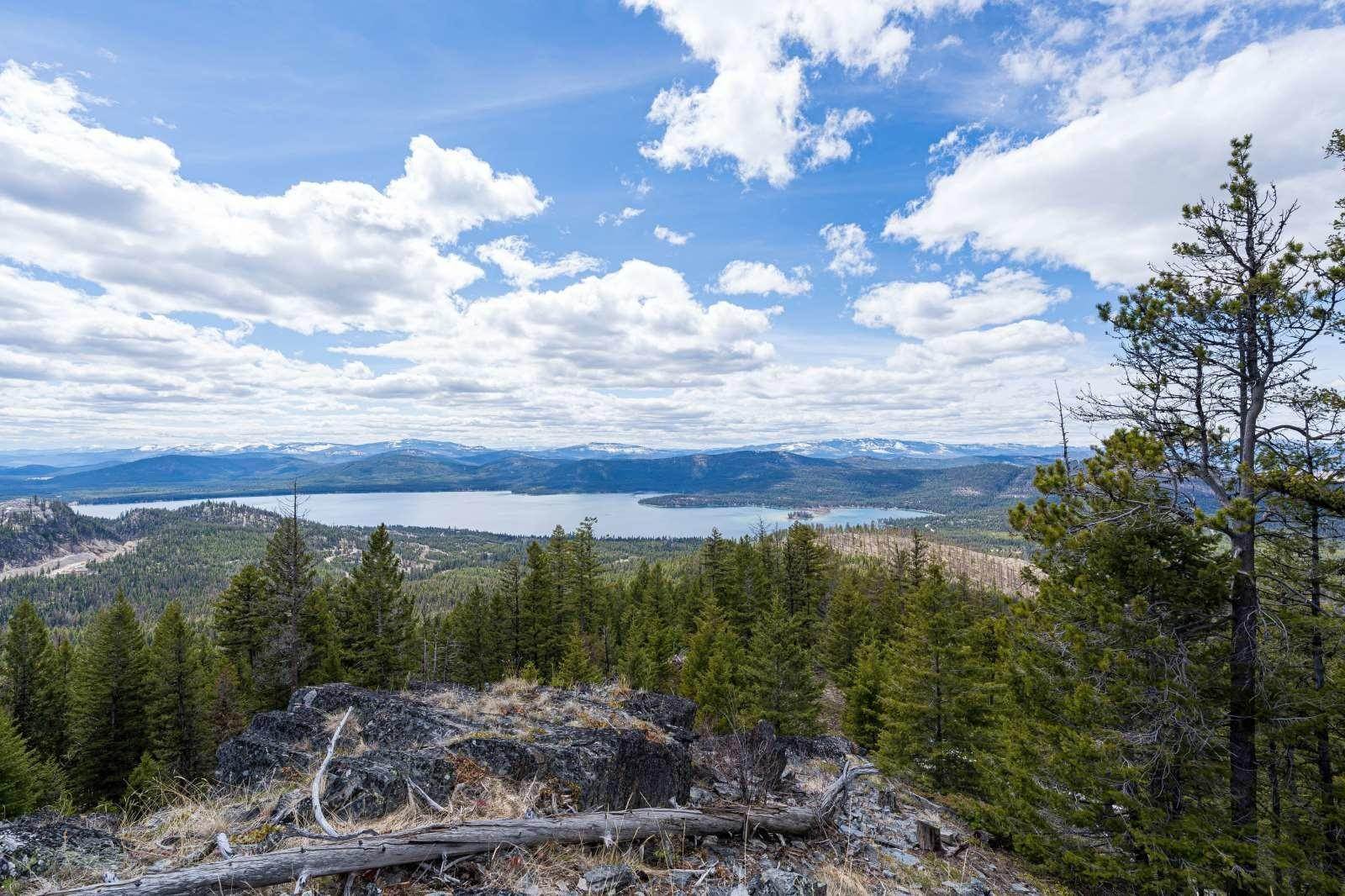13. Land for Sale at Griffin Creek Road, Marion, Montana 59925 United States