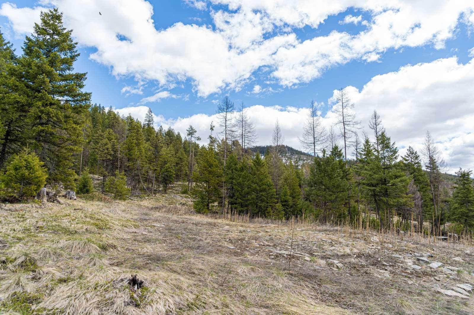 20. Land for Sale at Griffin Creek Road, Marion, Montana 59925 United States