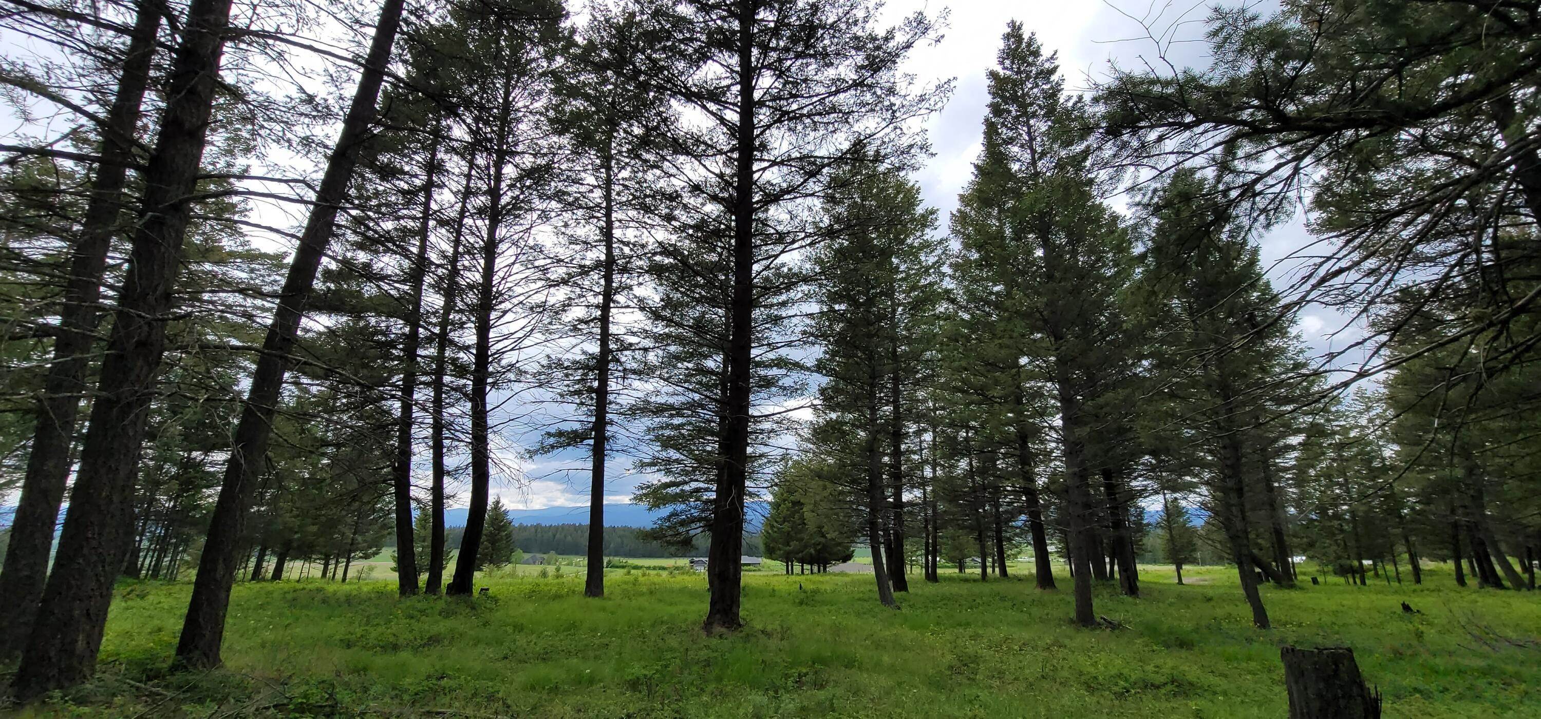 10. Land for Sale at Address Not Available Address Not Available, Whitefish, Montana 59937 United States