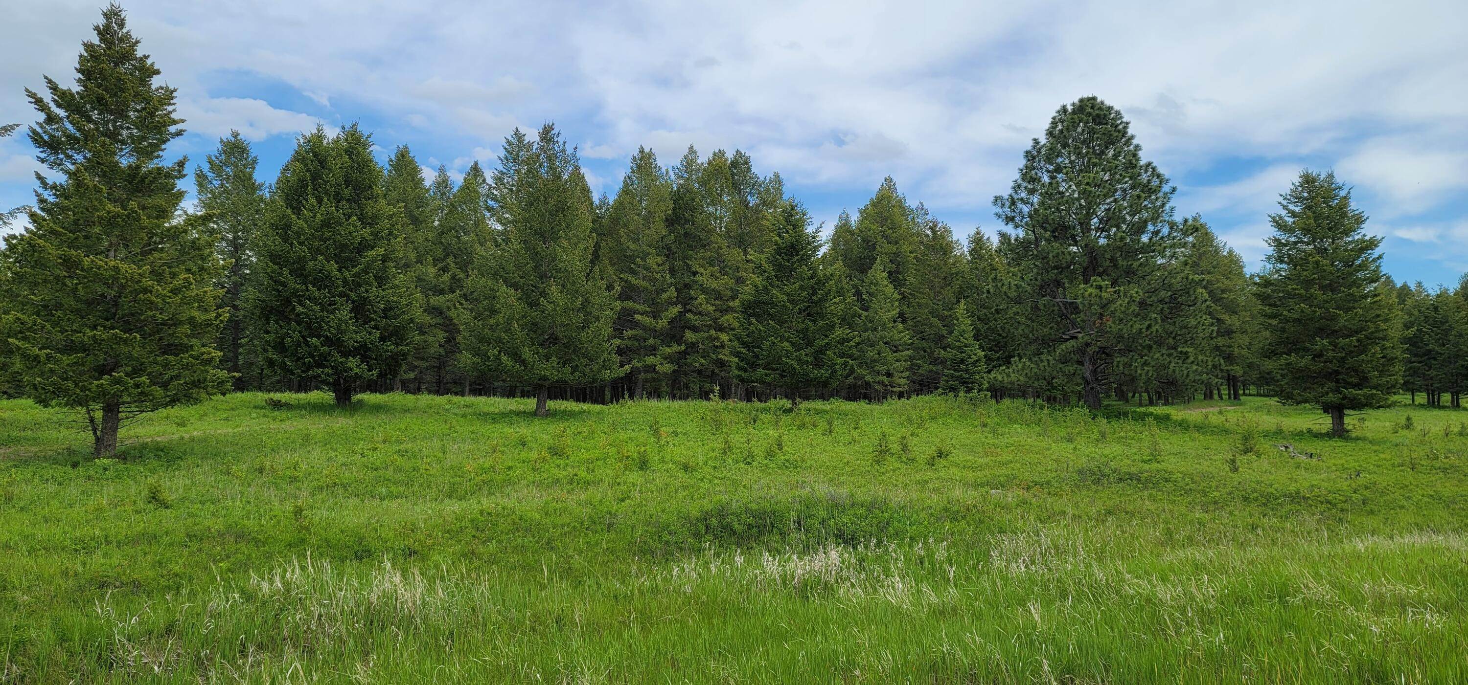 5. Land for Sale at Address Not Available Address Not Available, Whitefish, Montana 59937 United States