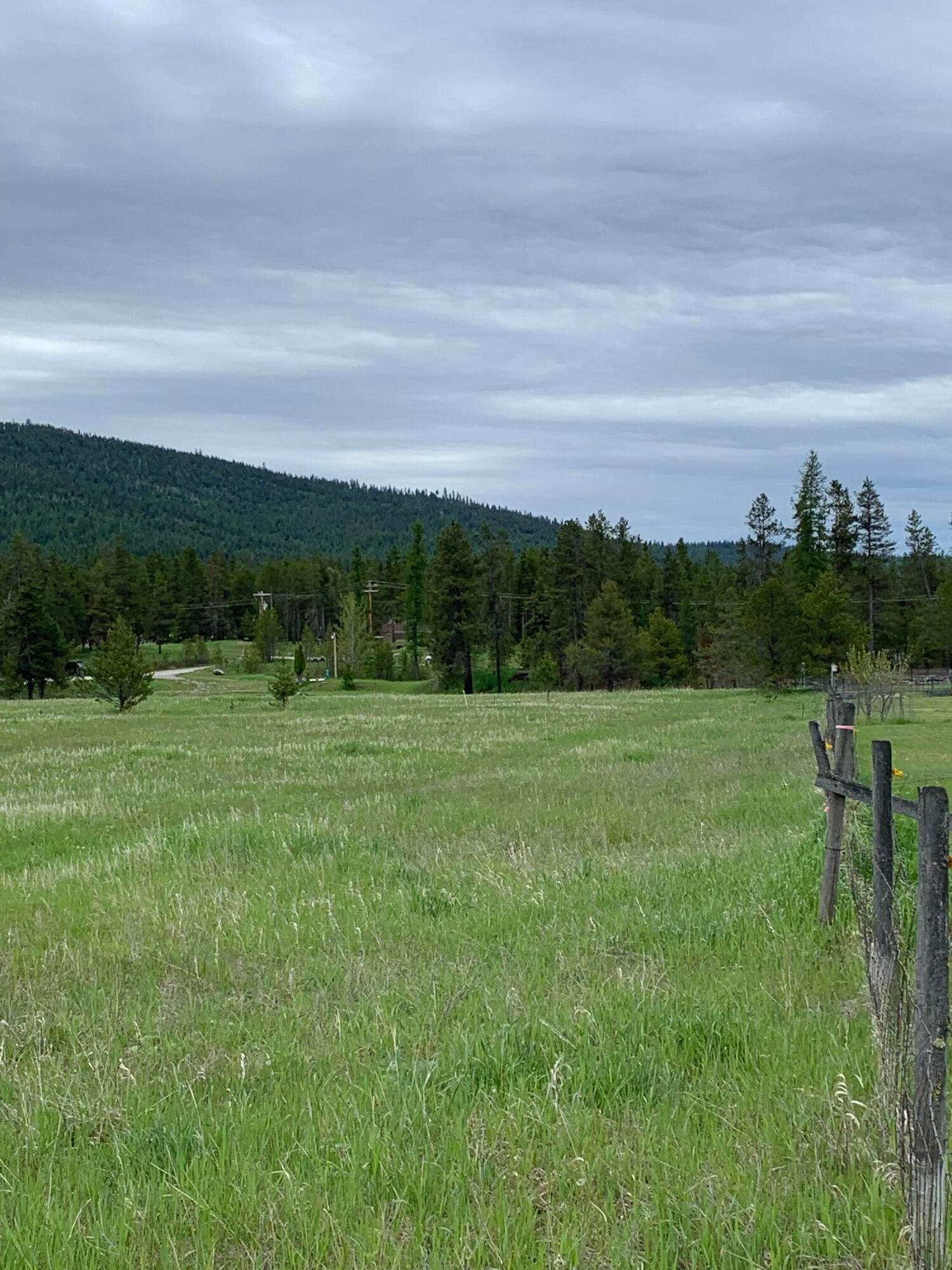 3. Land for Sale at 15 Old Creek Road, Marion, Montana 59925 United States