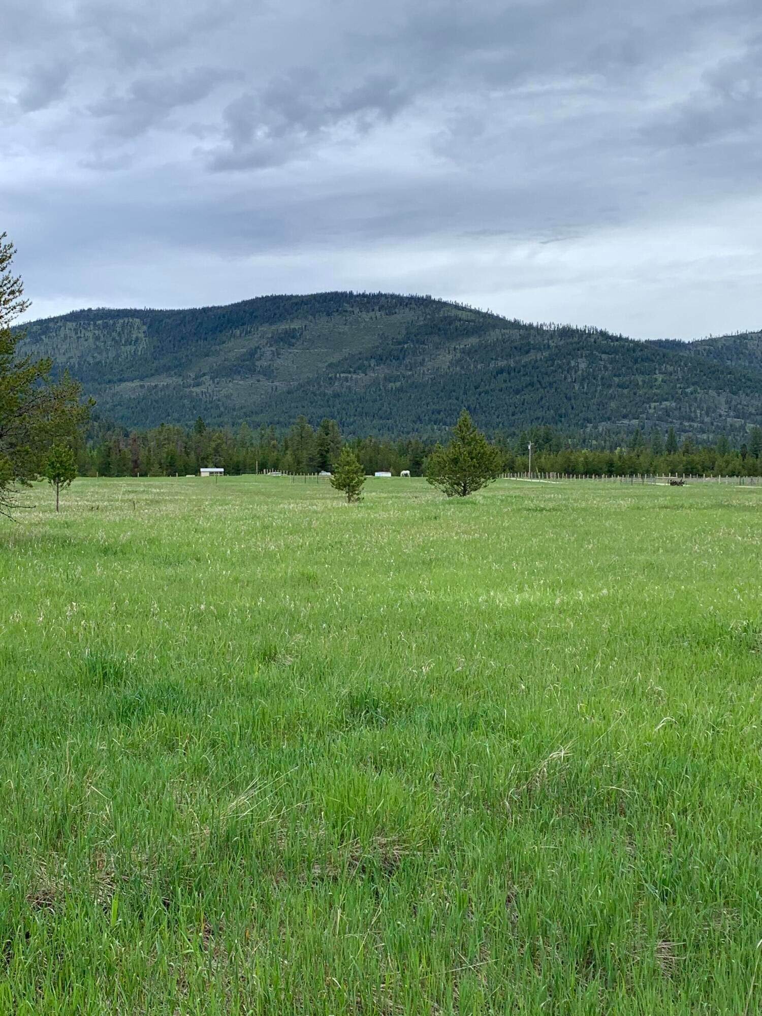 4. Land for Sale at 15 Old Creek Road, Marion, Montana 59925 United States