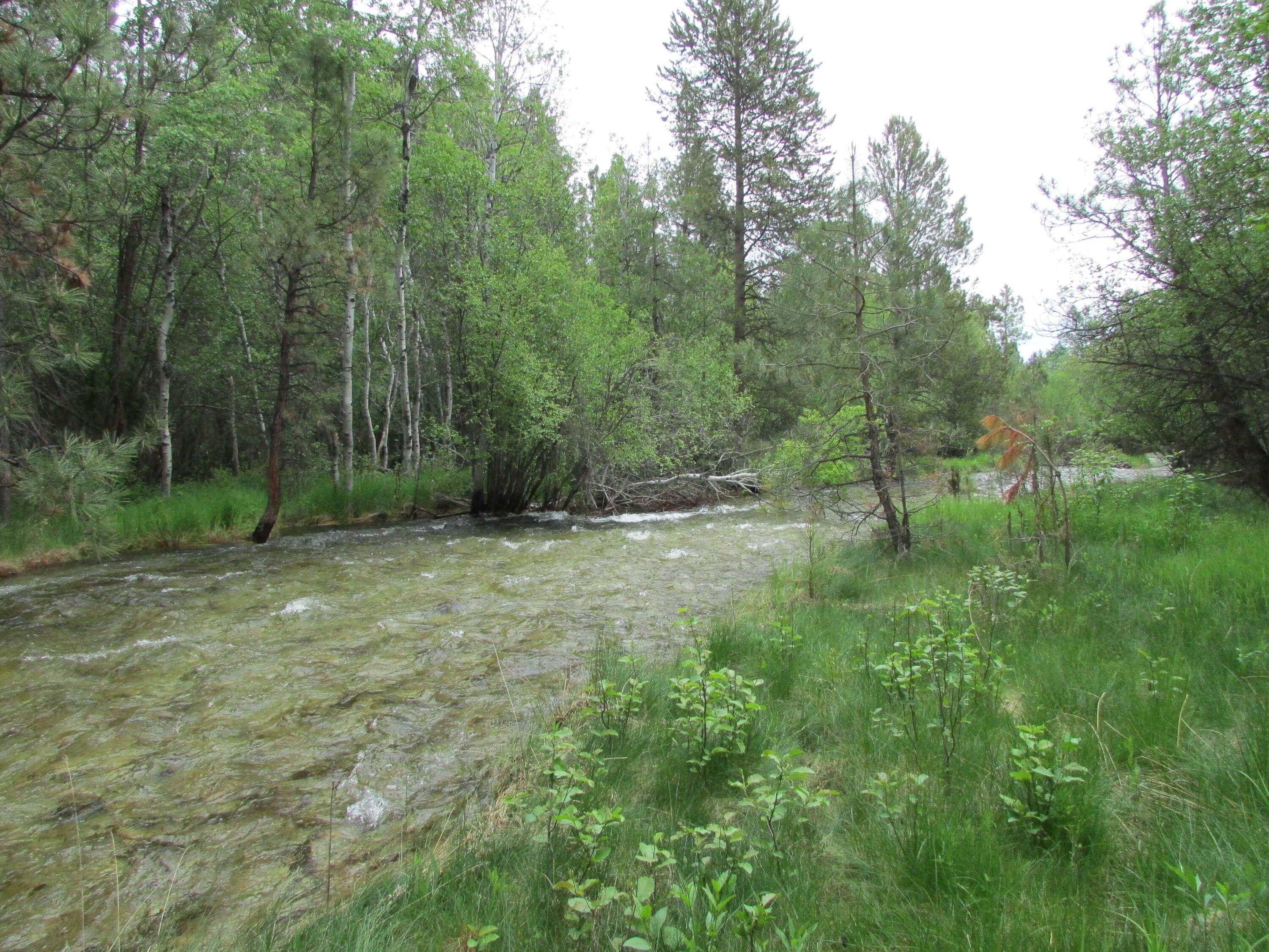 Land for Sale at 336 Meadowood Lane, Victor, Montana 59875 United States