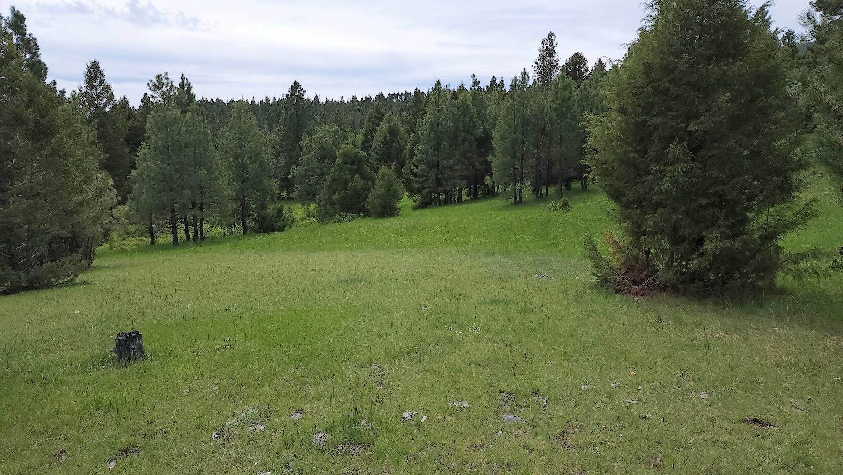 8. Land for Sale at #3 Tract, 160 +/- Acres, Helmville, Montana 59843 United States