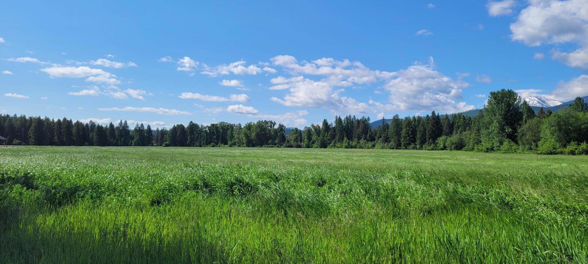 8. Land for Sale at Lot 5 Kootenai Views Drive, Libby, Montana 59923 United States
