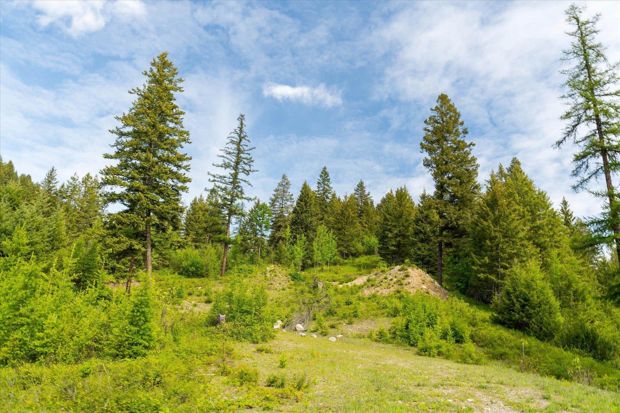 9. Land for Sale at 143 Wolf Run Drive, Whitefish, Montana 59937 United States