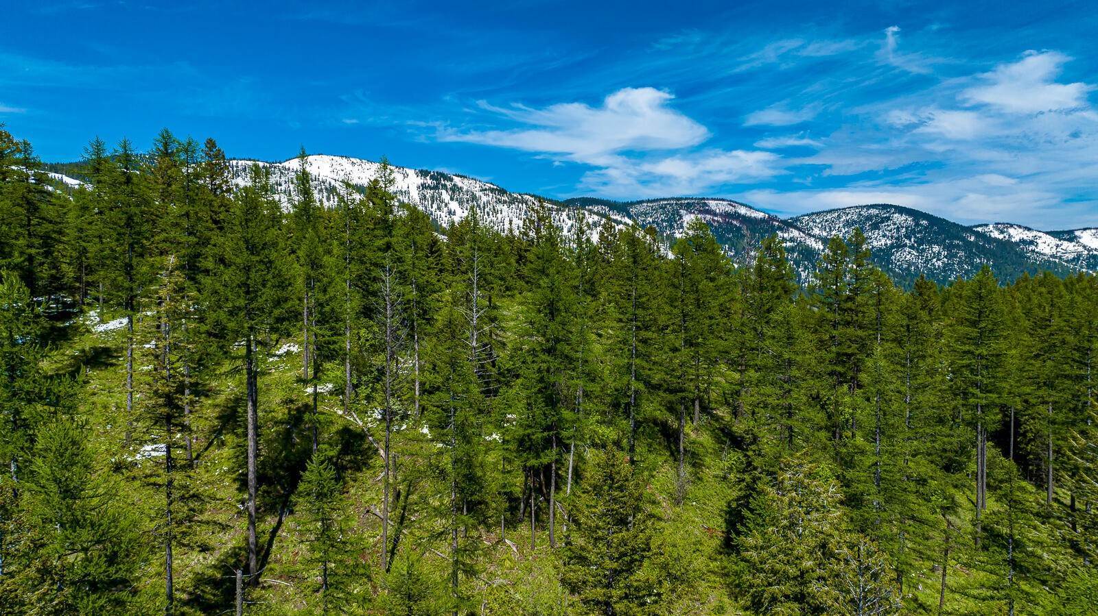 4. Land for Sale at 193 Elk Highlands Drive, Whitefish, Montana 59937 United States
