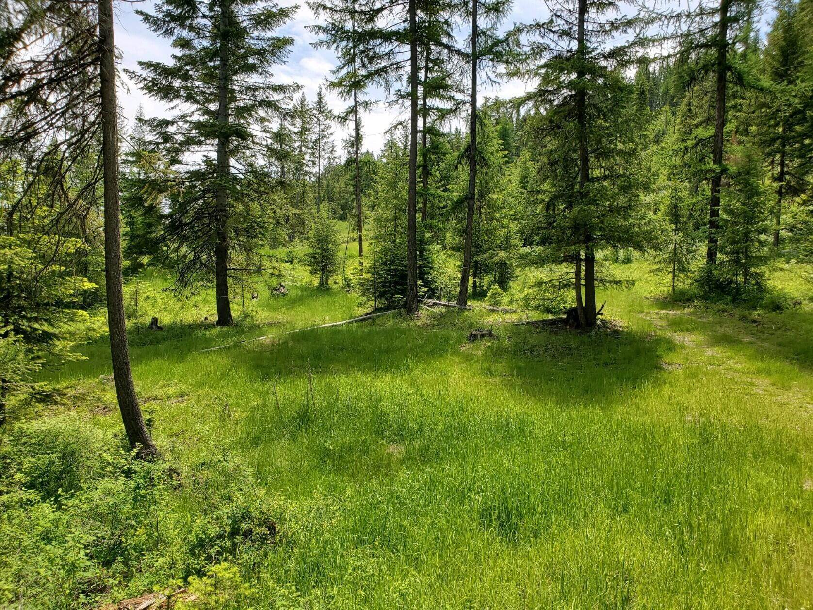 14. Land for Sale at 135 Old Hwy 10, St. Regis, Montana 59866 United States